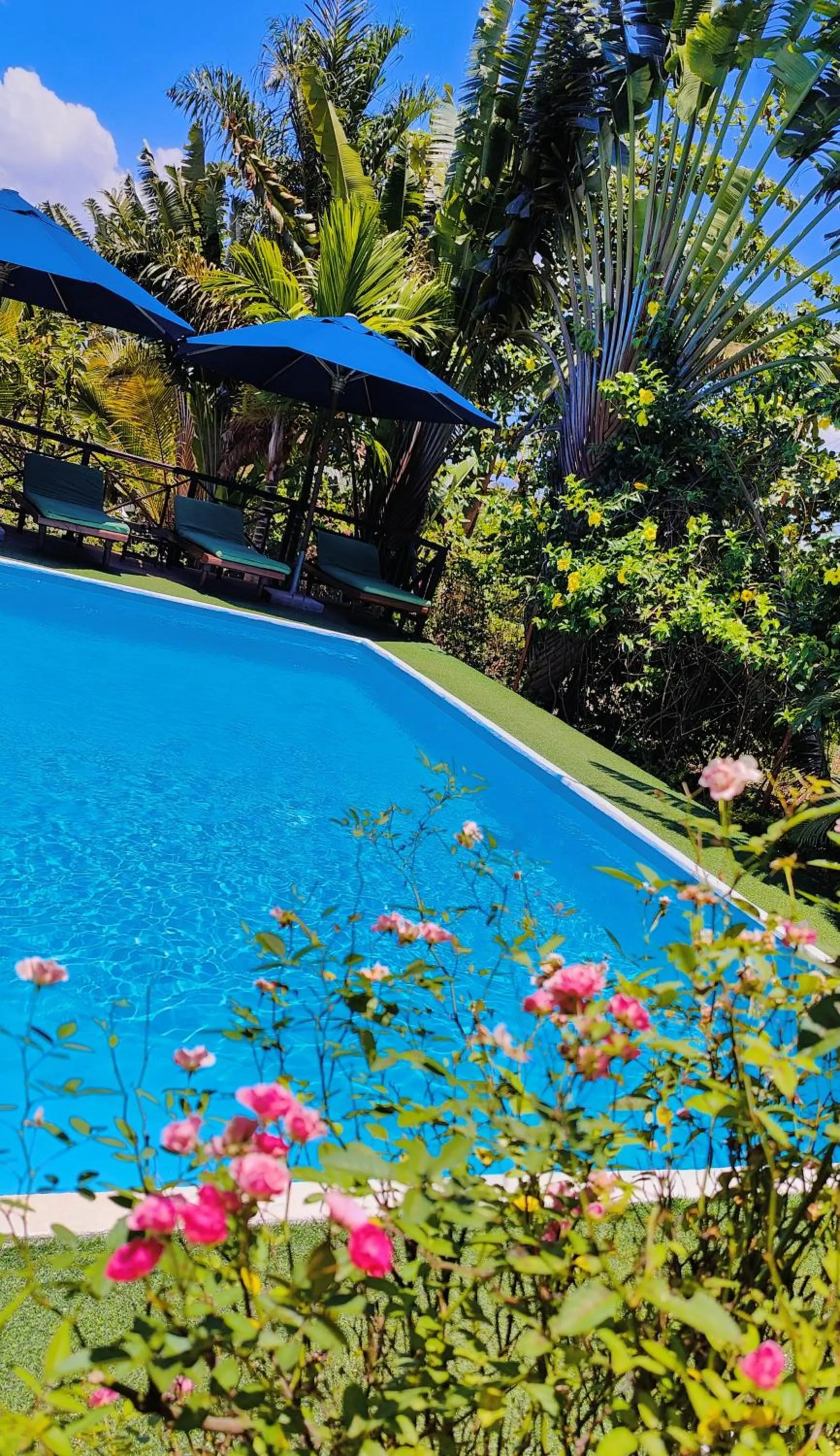 Bungalows des tropiques