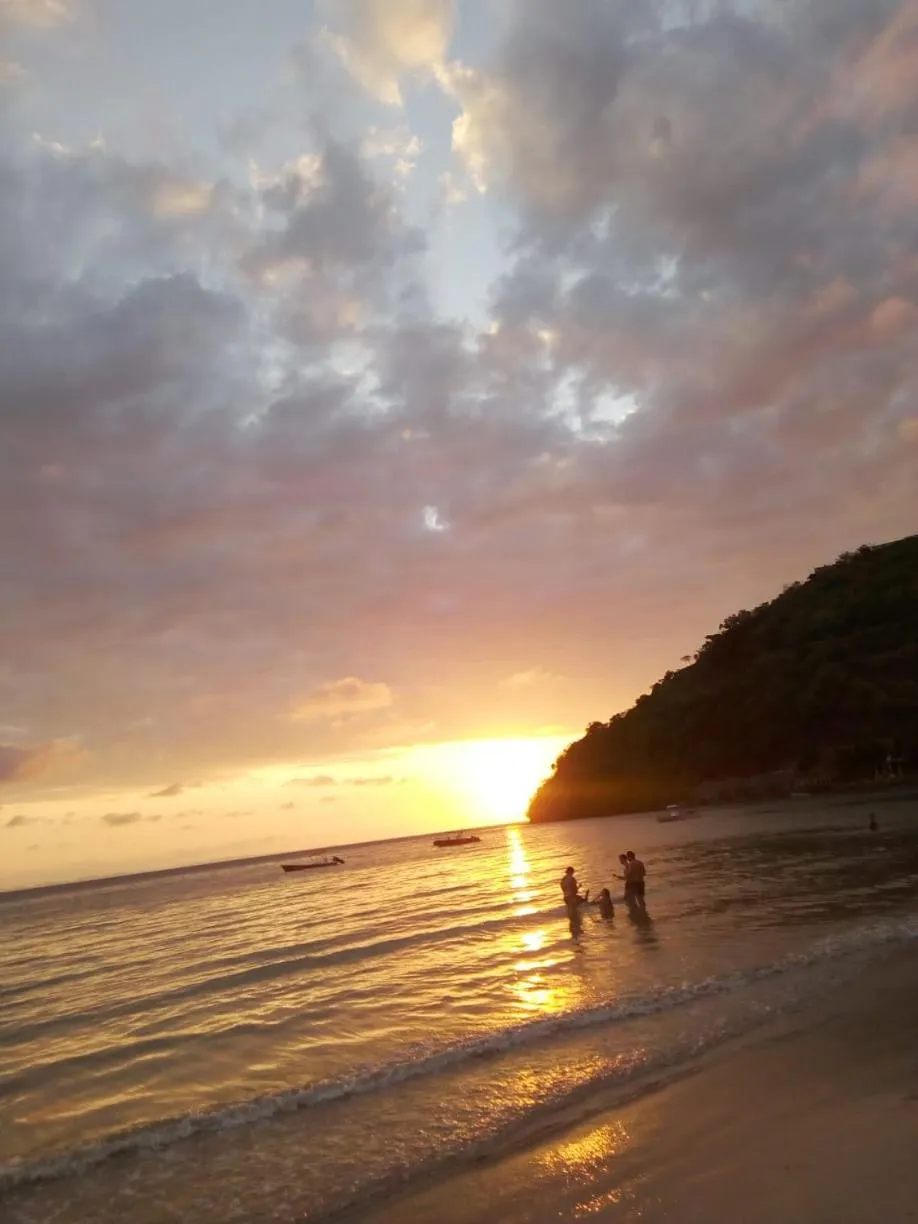 Bungalows des tropiques