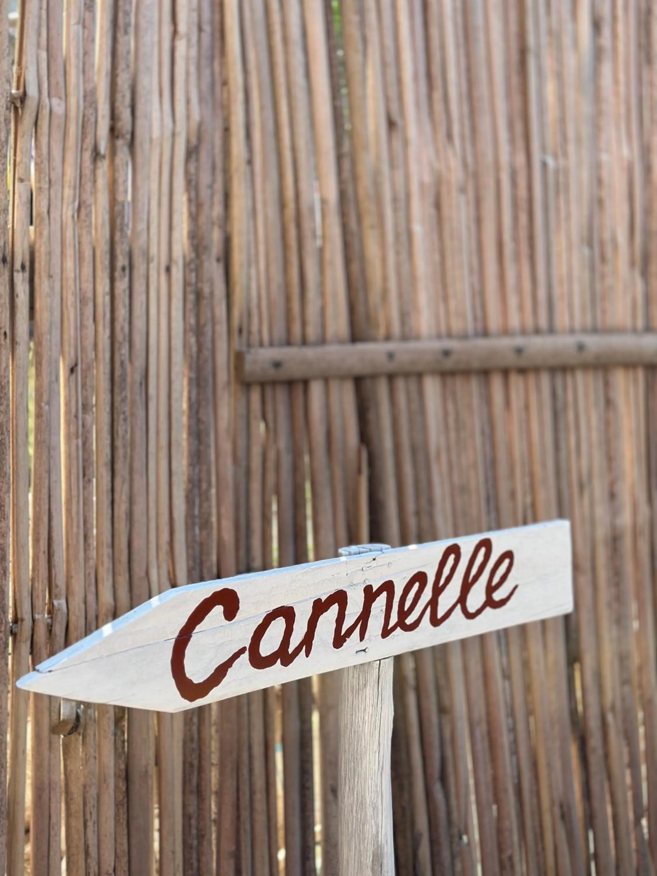 Bungalows des tropiques