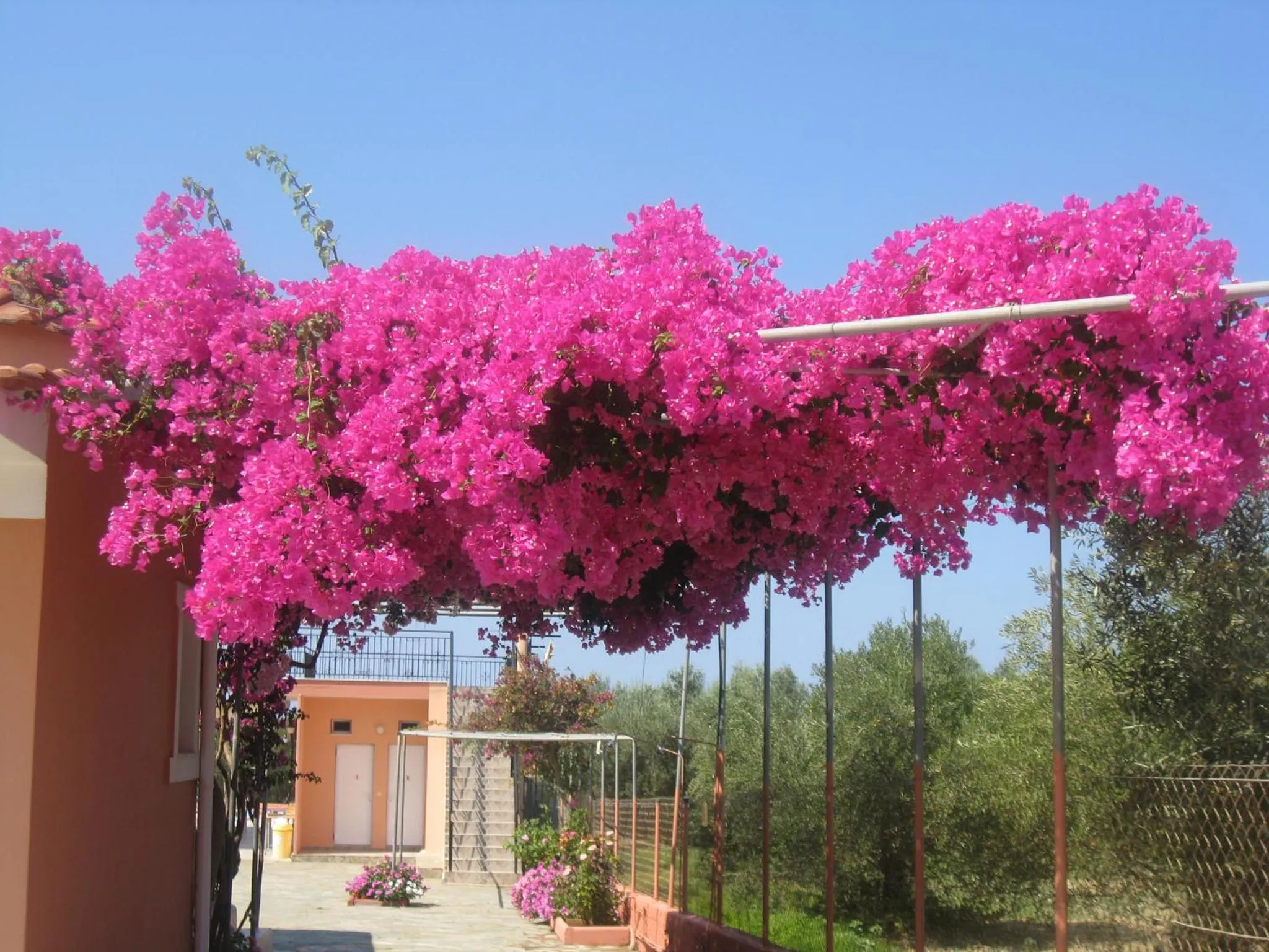 Natural landscape in Paradise Studios