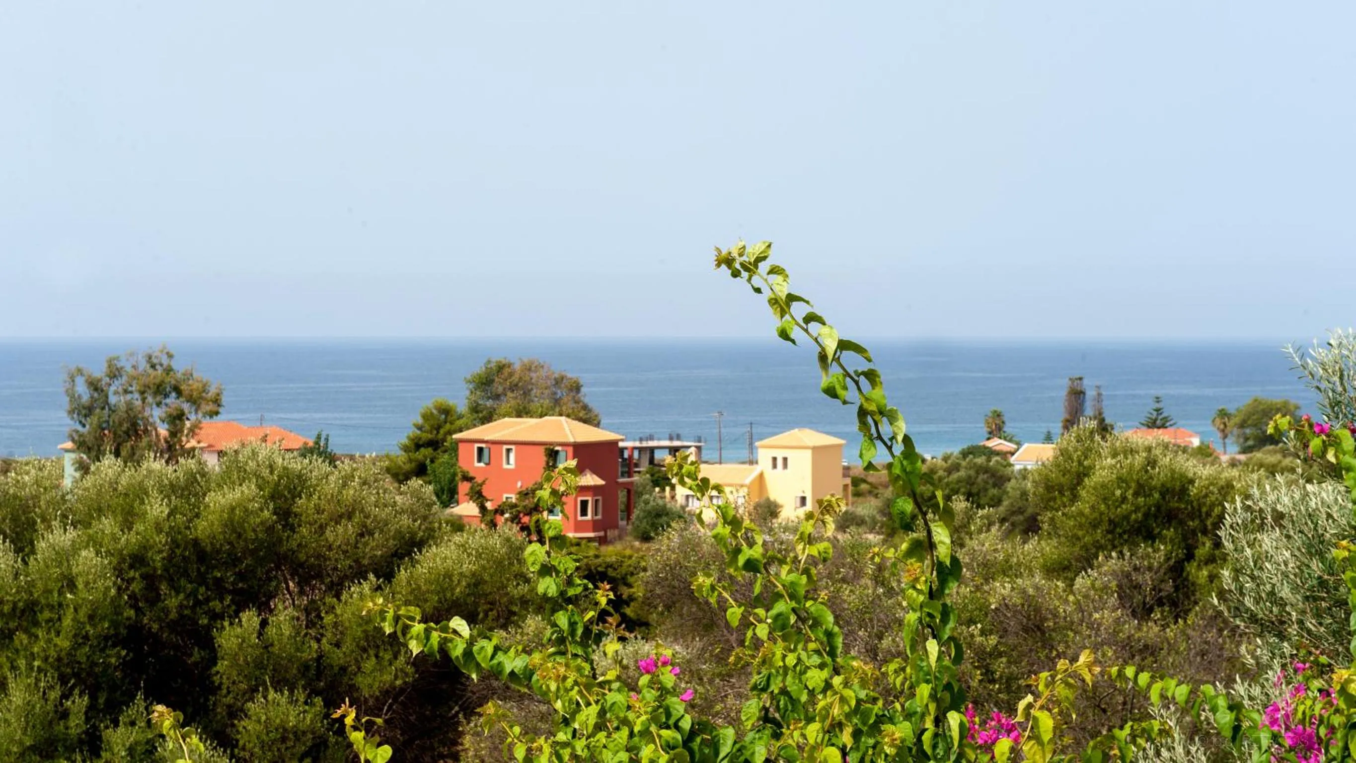 Natural landscape in Paradise Studios