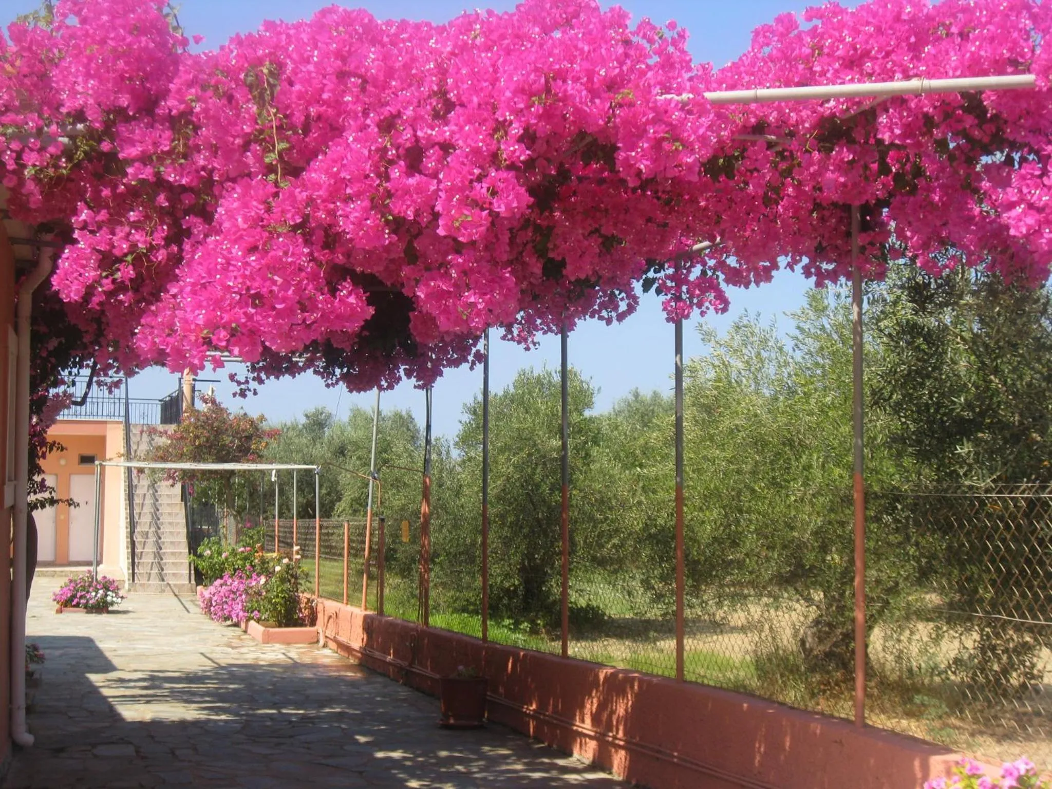 Natural landscape in Paradise Studios