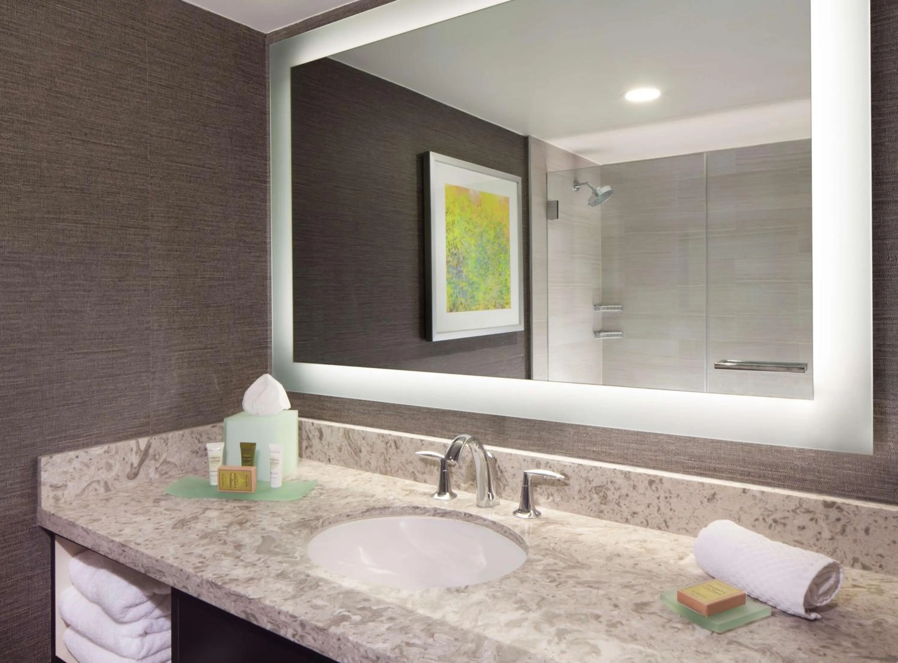 Bathroom in Hilton Parsippany