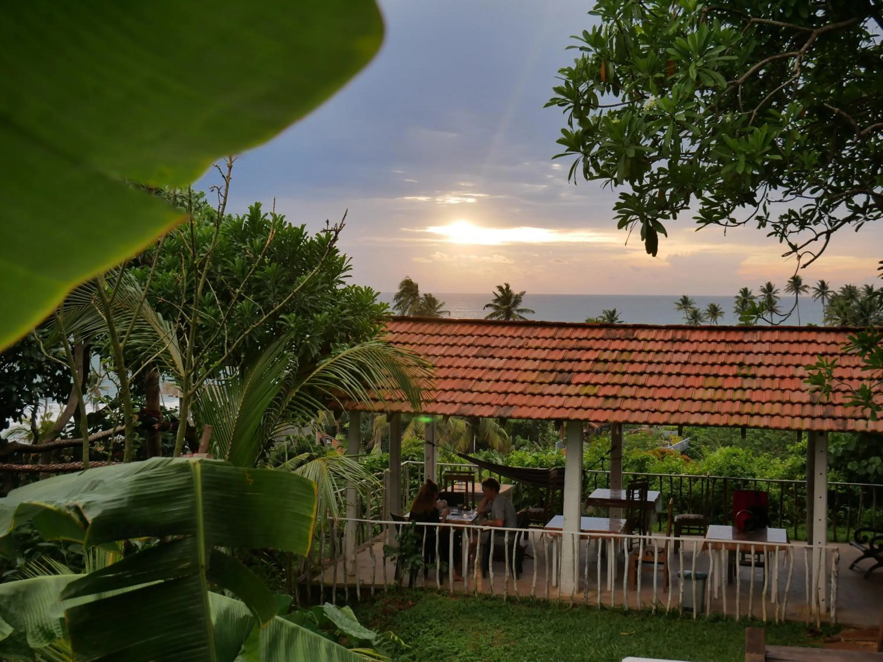Garden in Sky Mountain Café with seaview