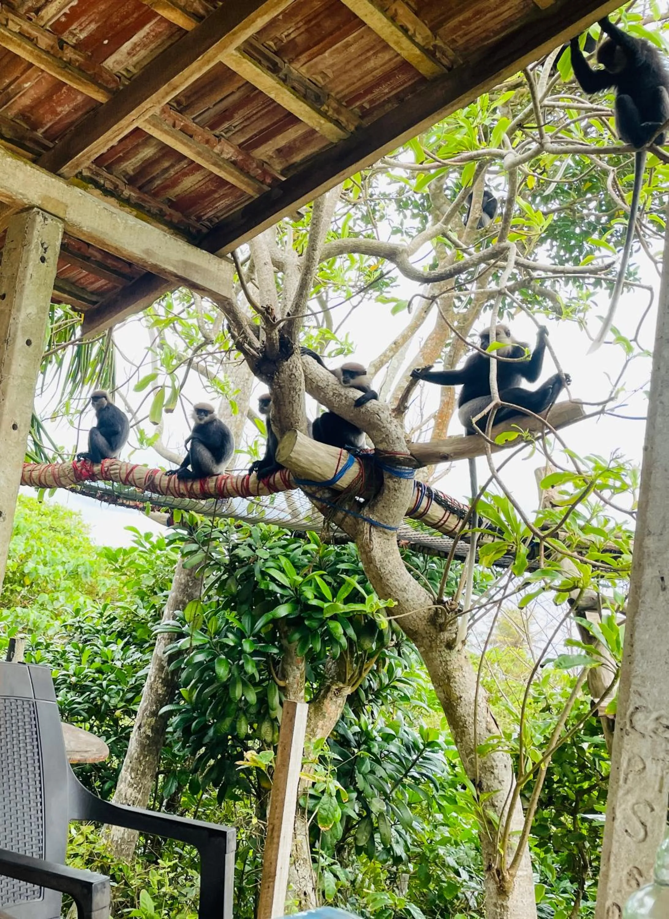 Sky Mountain Café with seaview