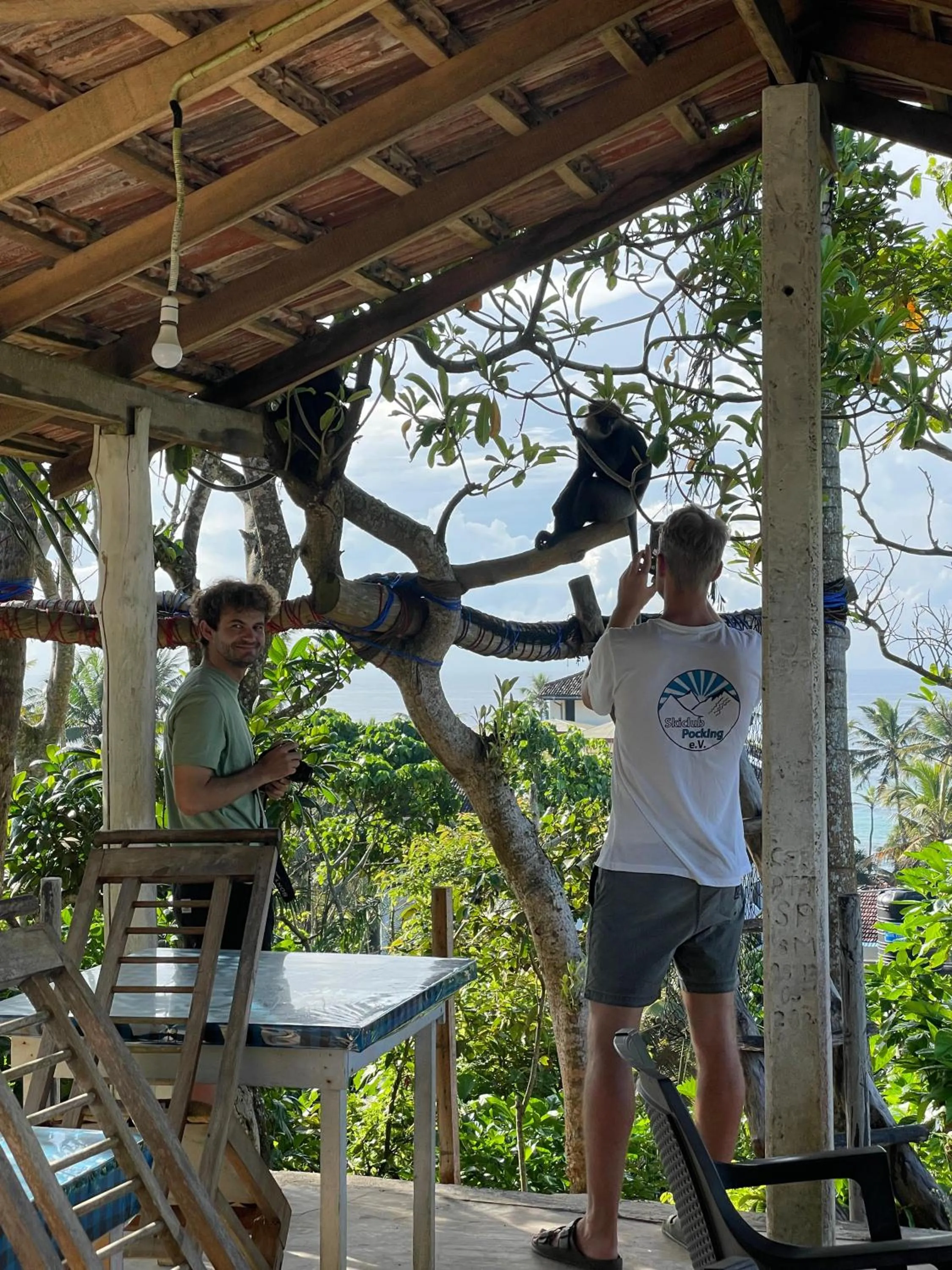 Garden in Sky Mountain Café with seaview