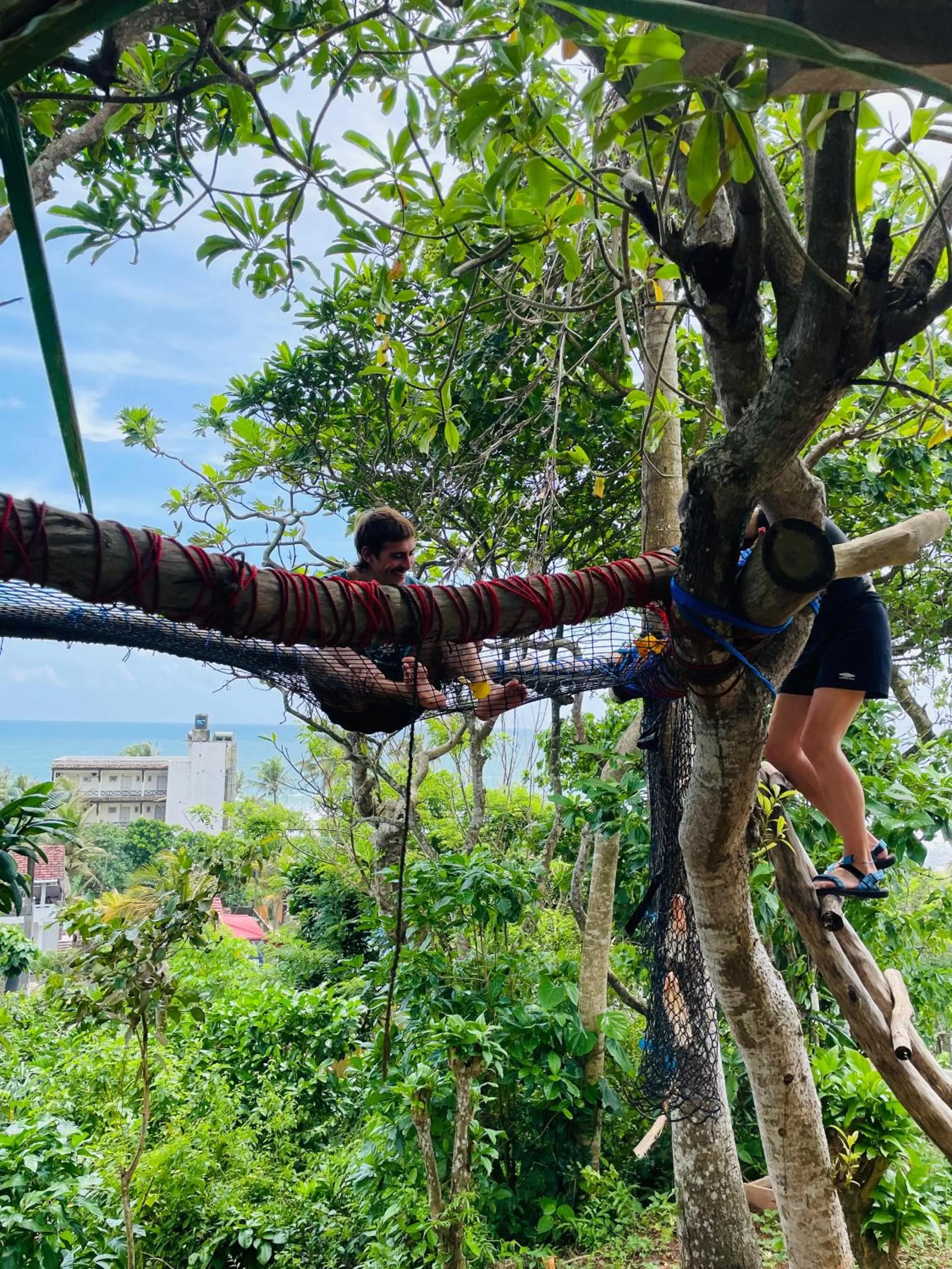 Natural landscape in Sky Mountain Café with seaview