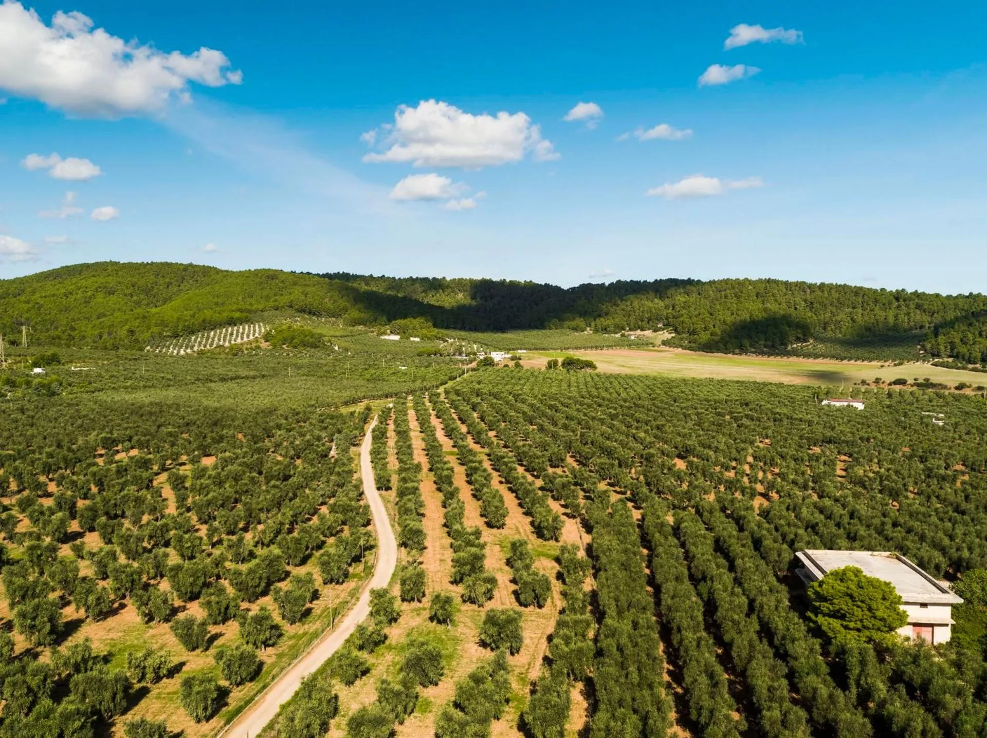 Residence Villantica