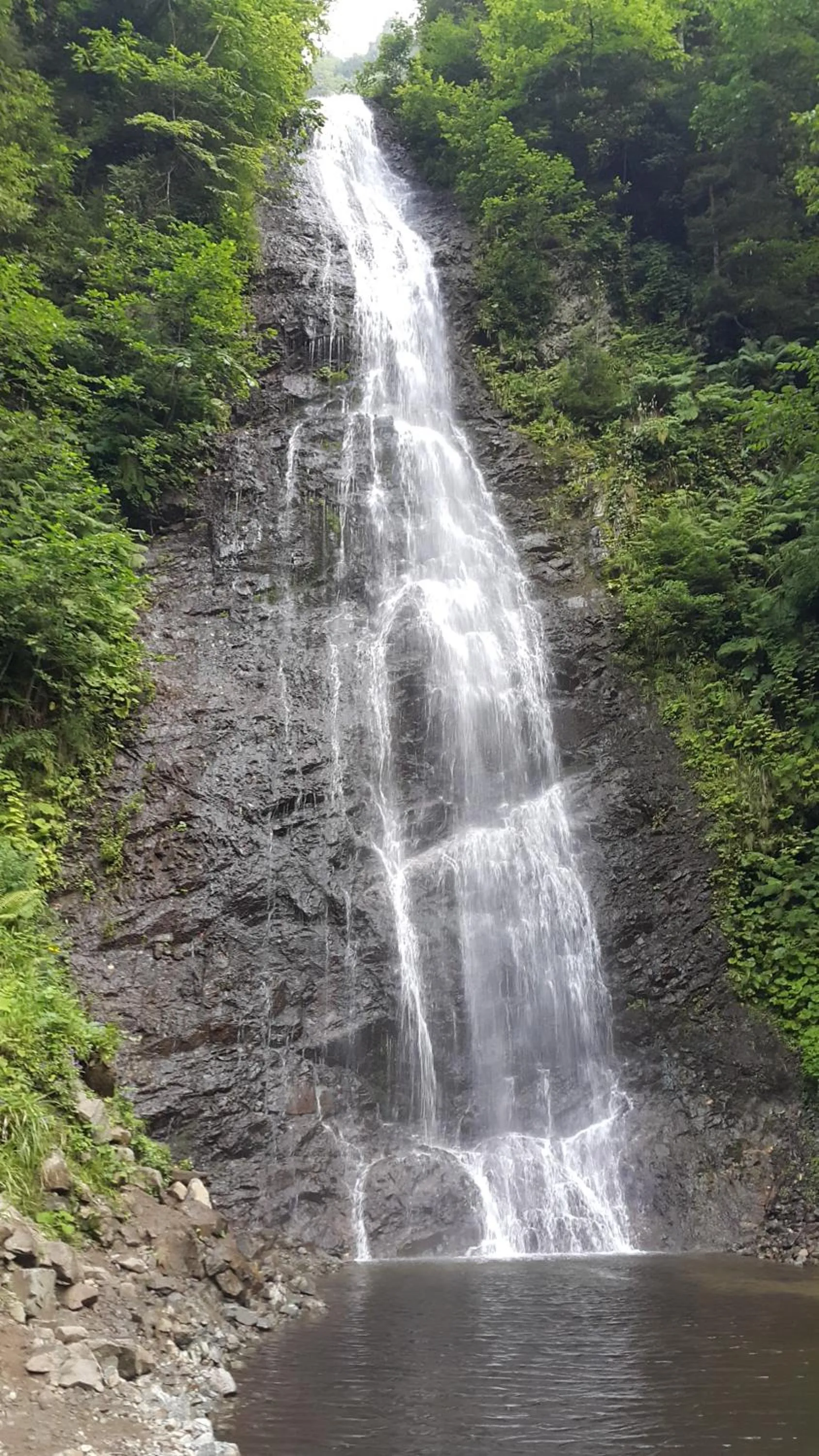 View (from property/room) in Ayderoom Hotel