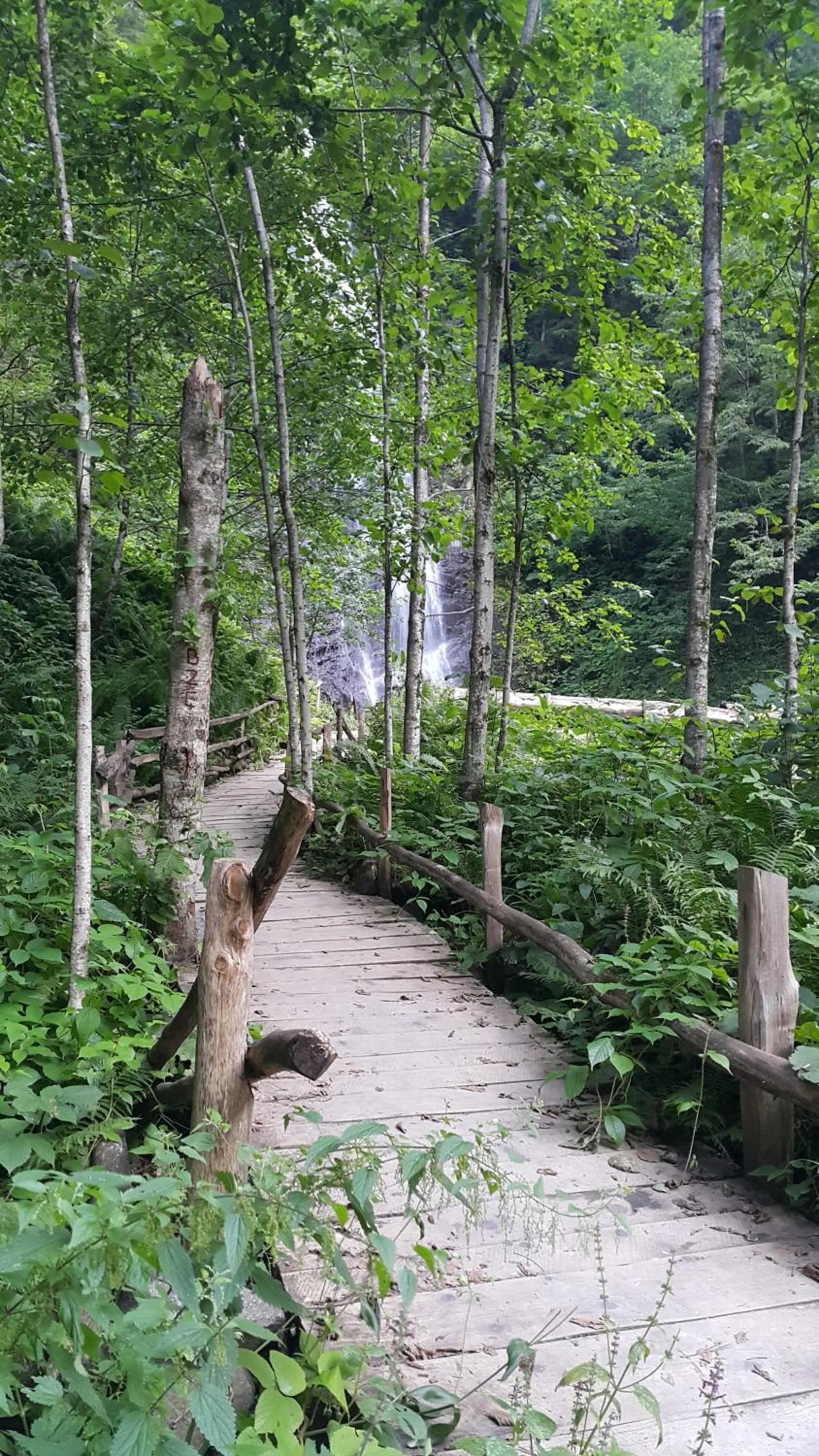 Mountain view in Ayderoom Hotel