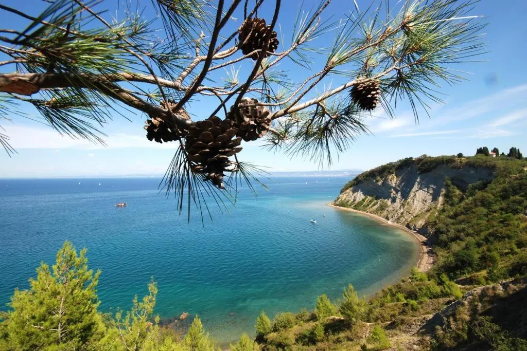 Beach in Apartment Lunaja
