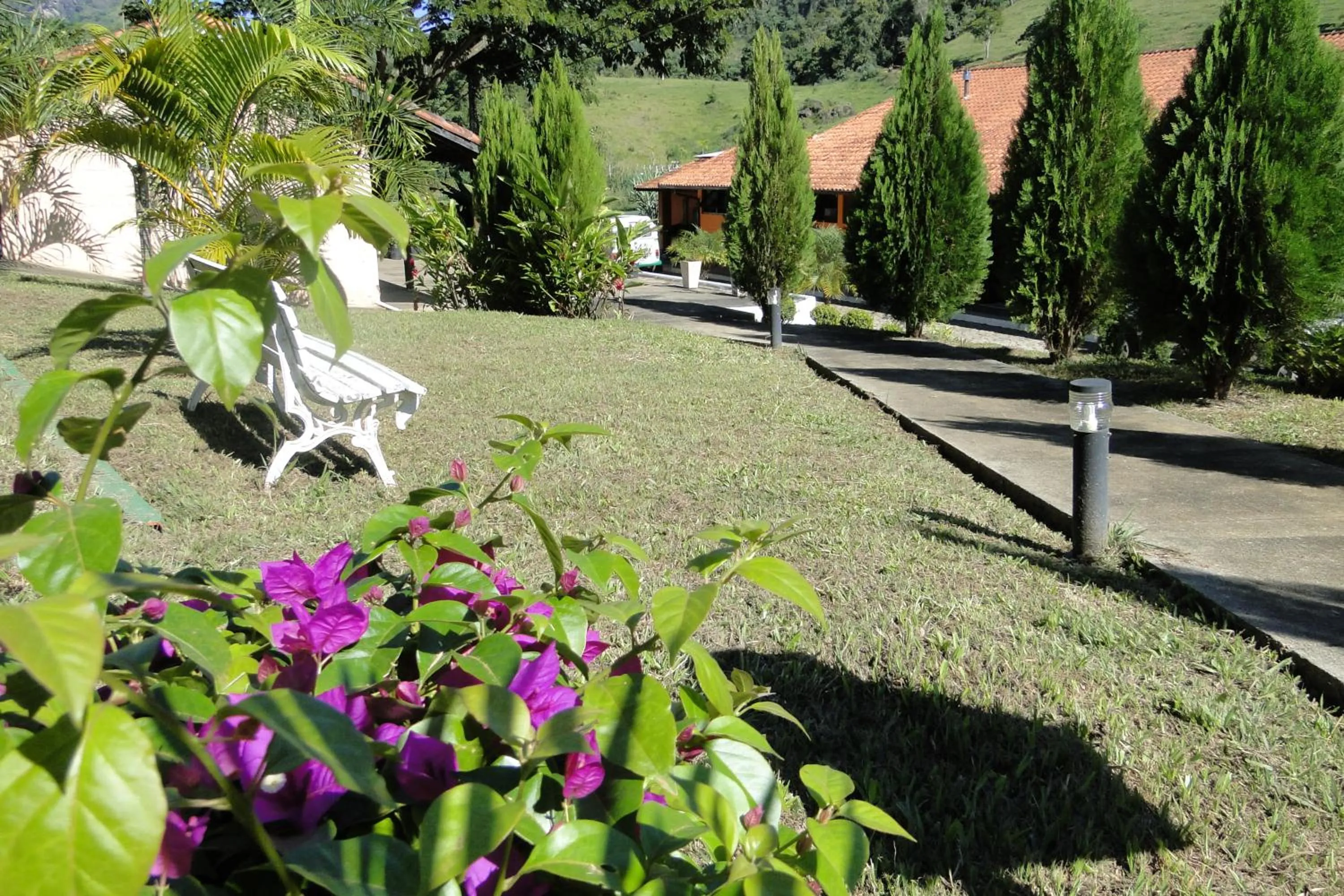 Garden in Hotel dos Bretões