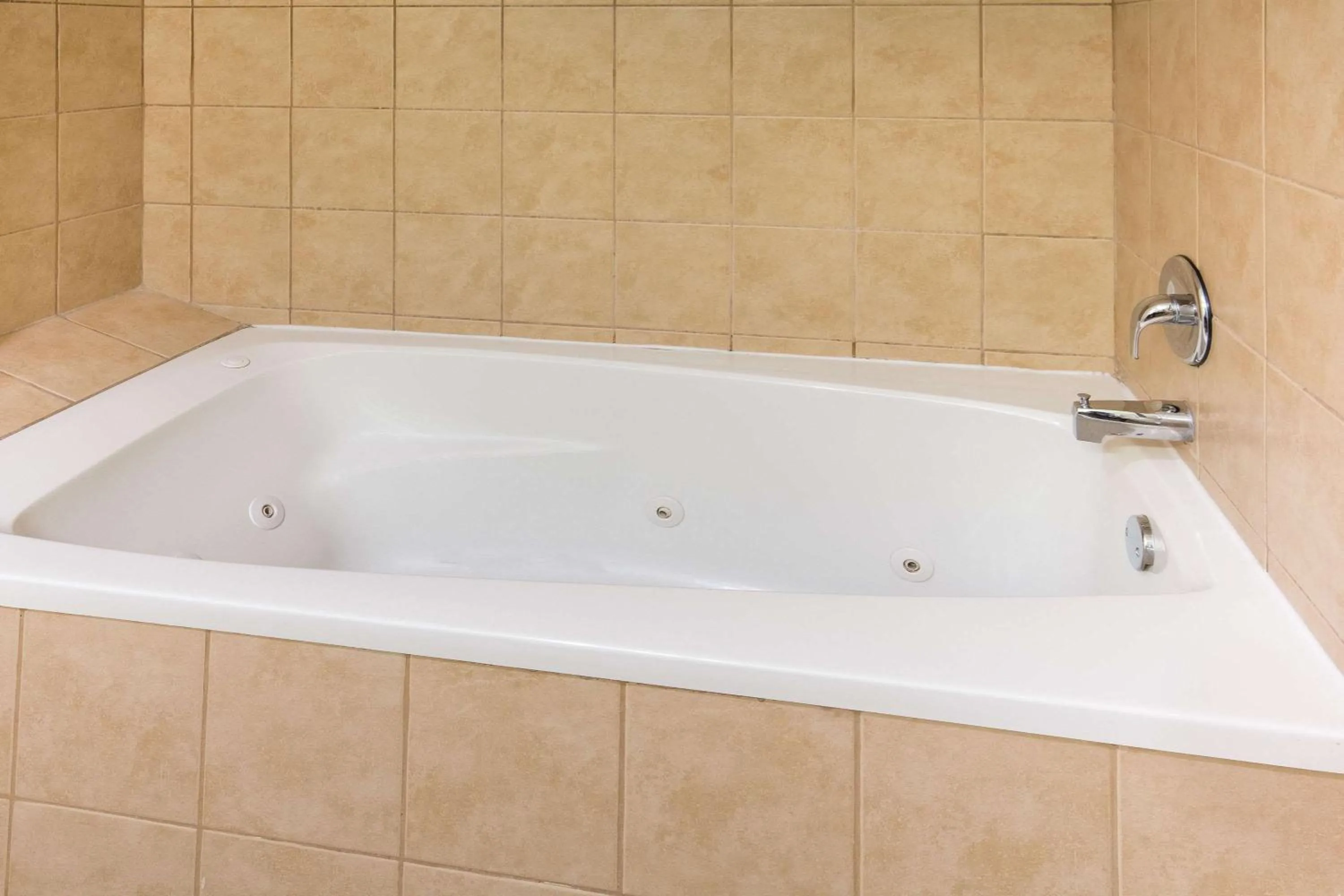 Photo of the whole room in Global Inn