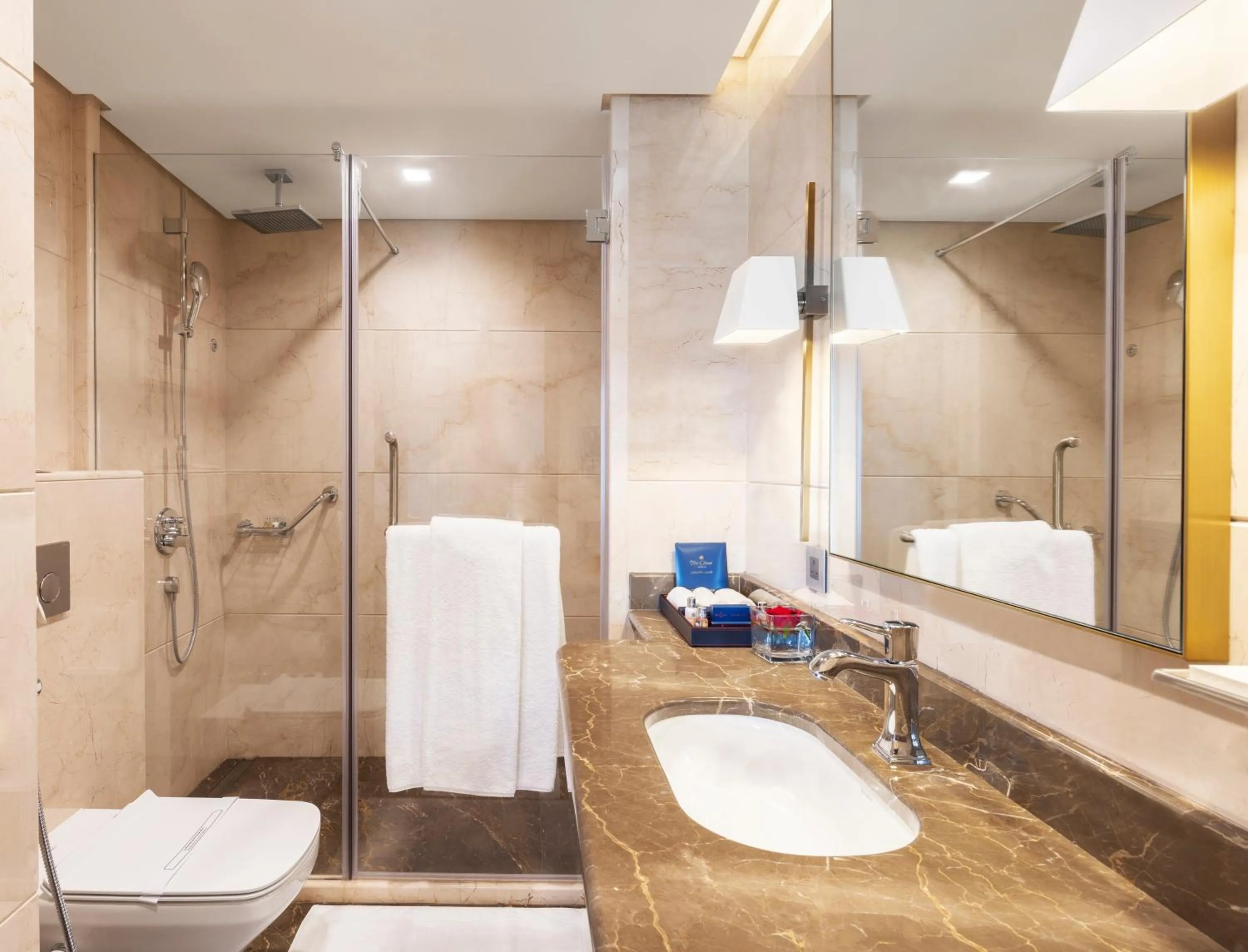 Toilet in The Oberoi Madina المدينة أوبروي