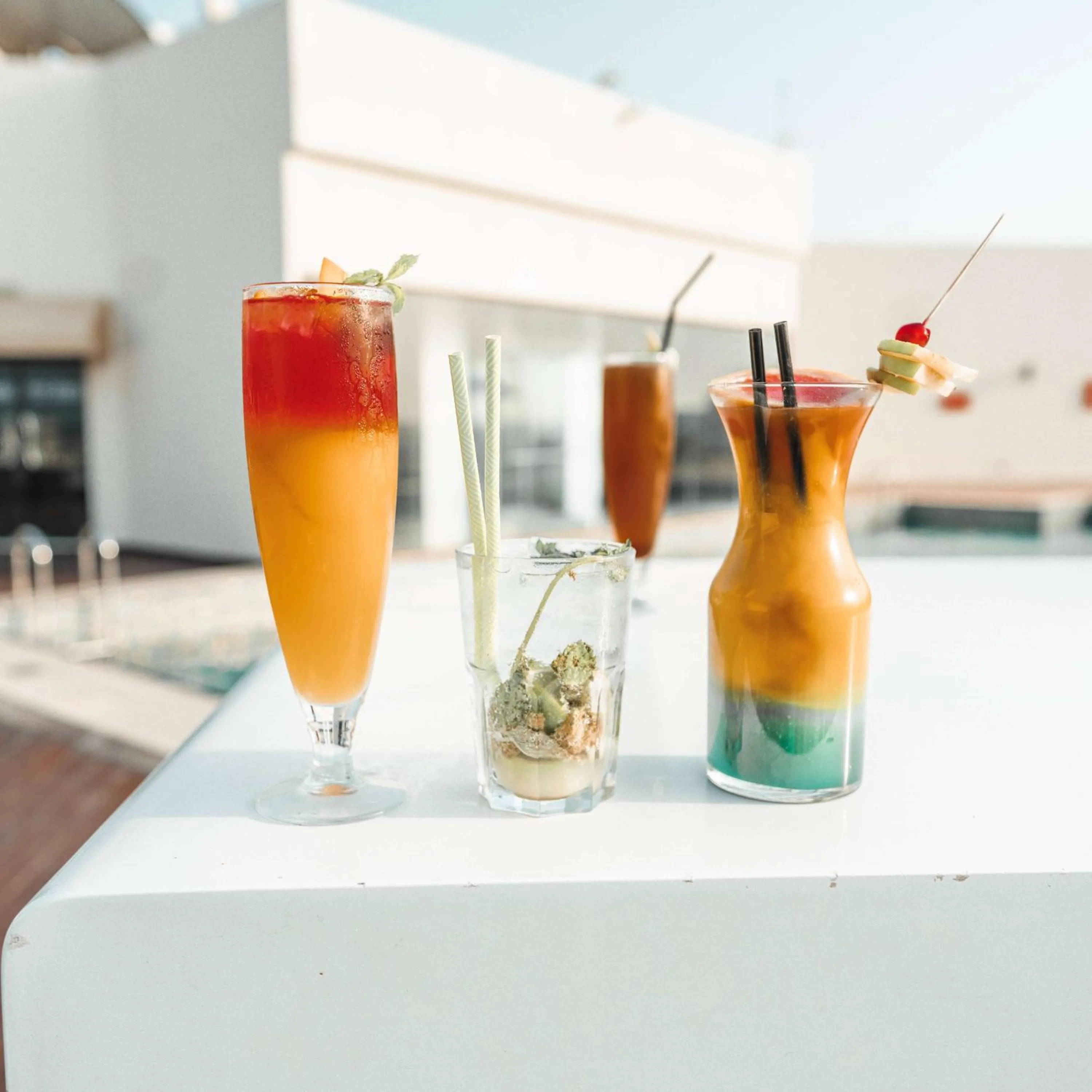 Other in Golden Tulip Muscat