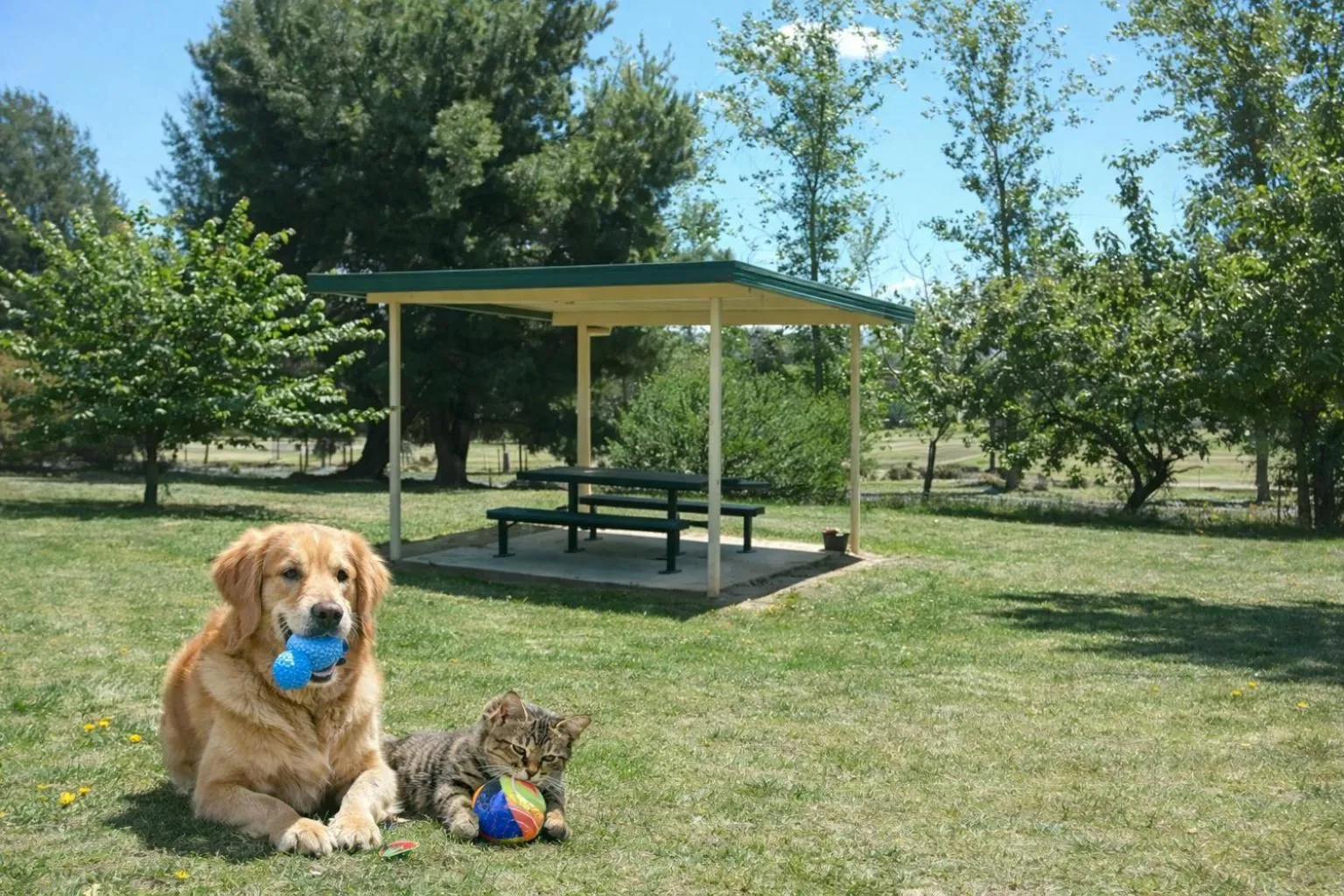 Property building in Hilltops Retreat Motor Inn