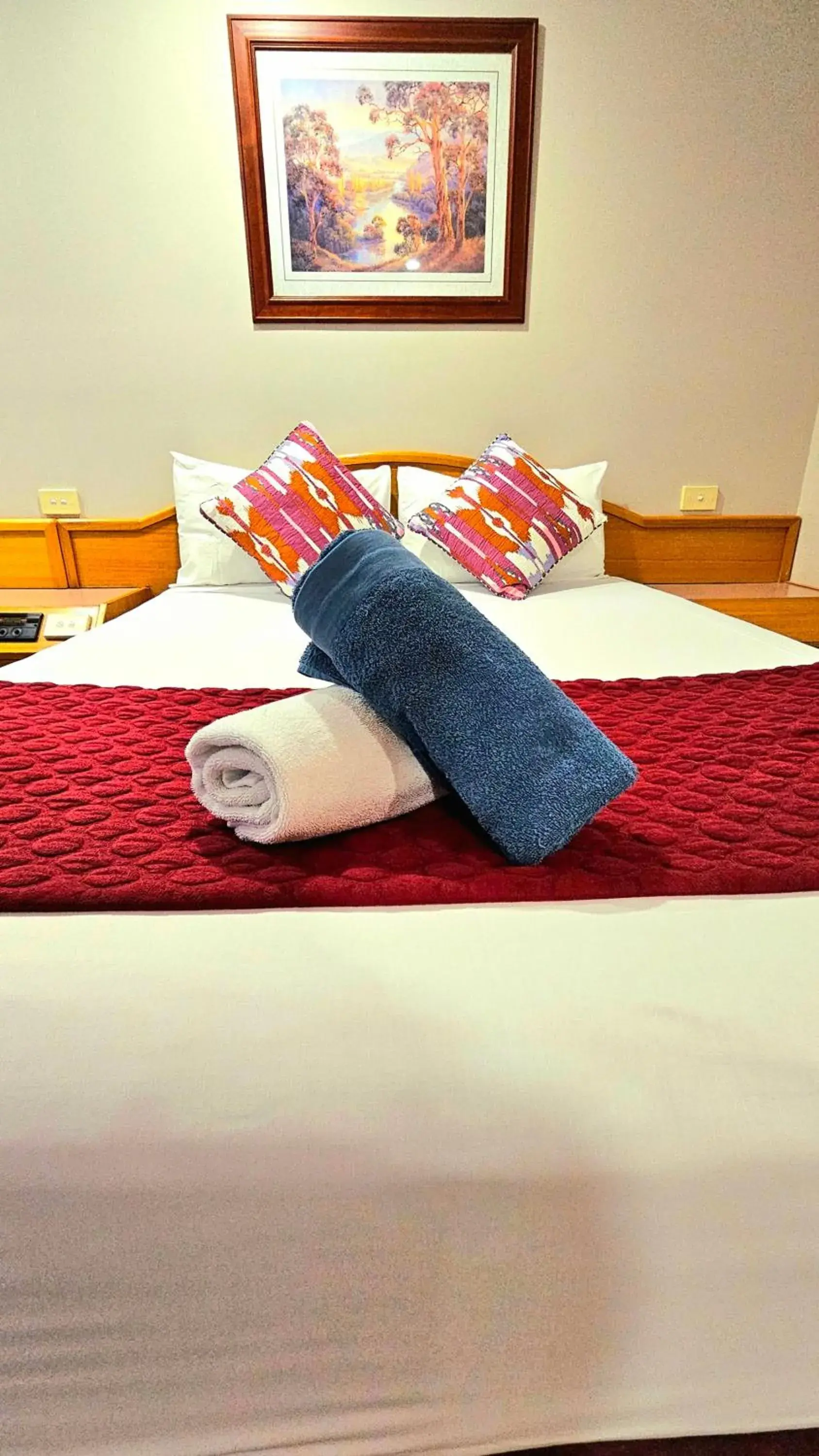 Twin Room - Disability Access in Hilltops Retreat Motor Inn Twin Room - Disability Access in Hilltops Retreat Motor Inn