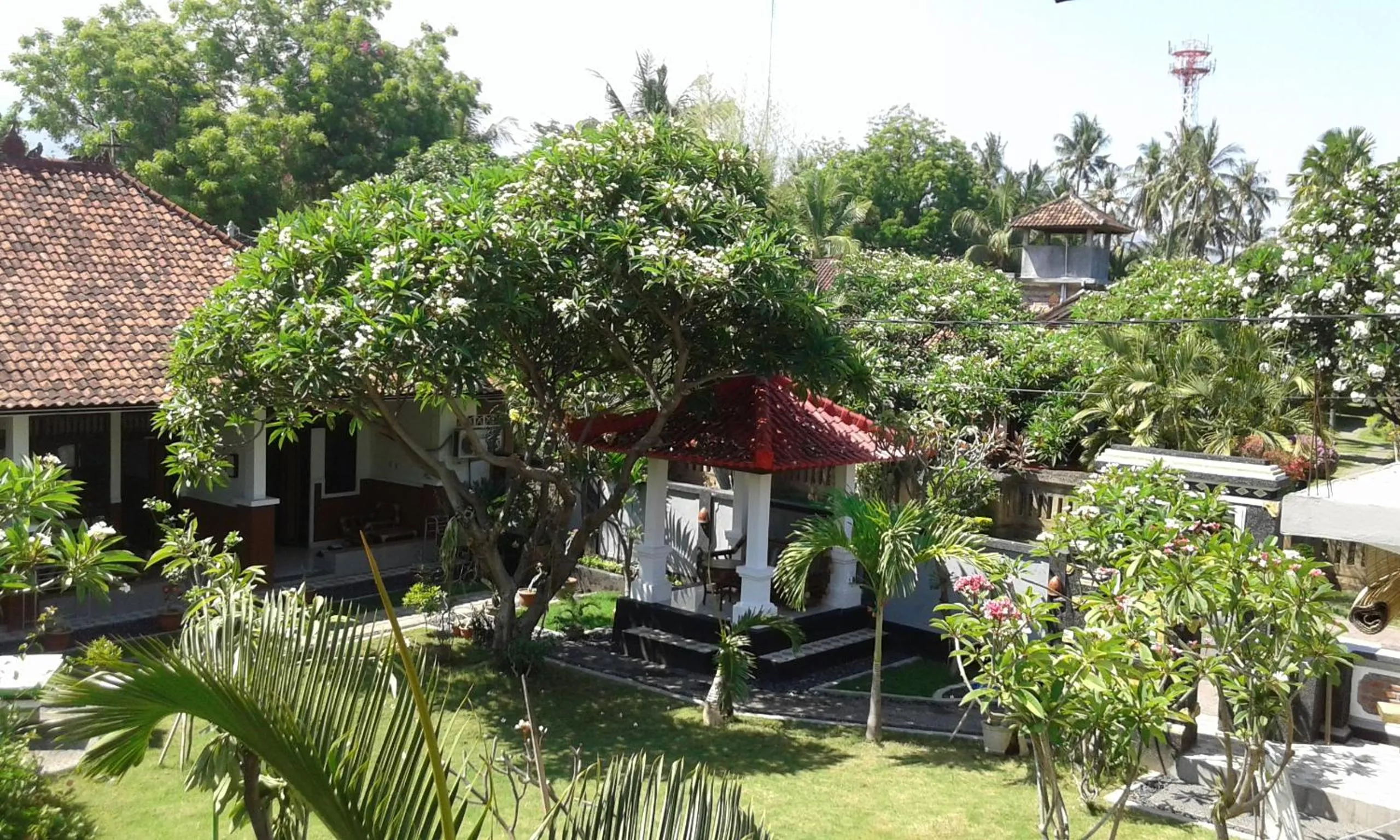 Garden in Puri Mandhara Lovina