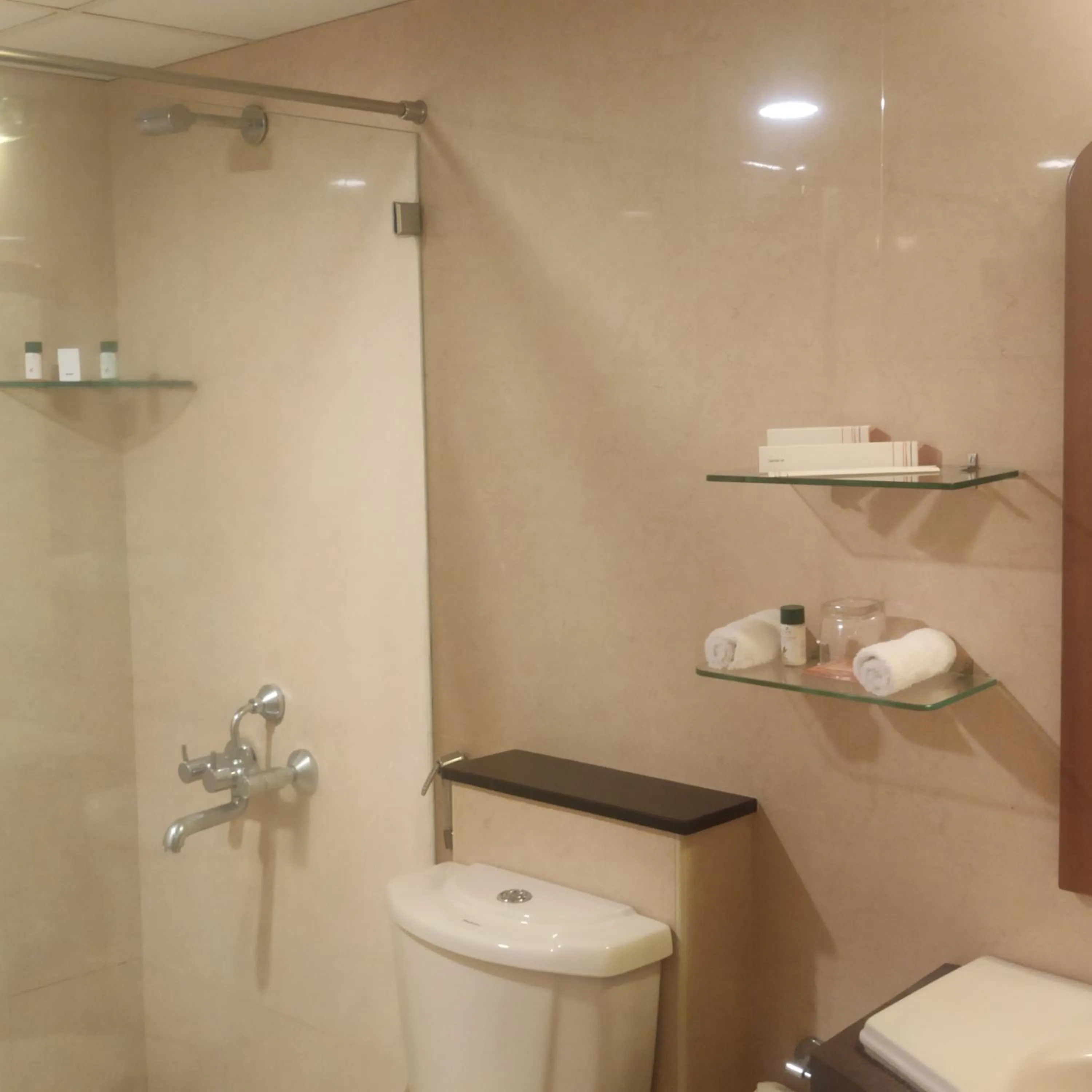 Vedic Village Sriperumbudur formerly known as Citrus Hotel