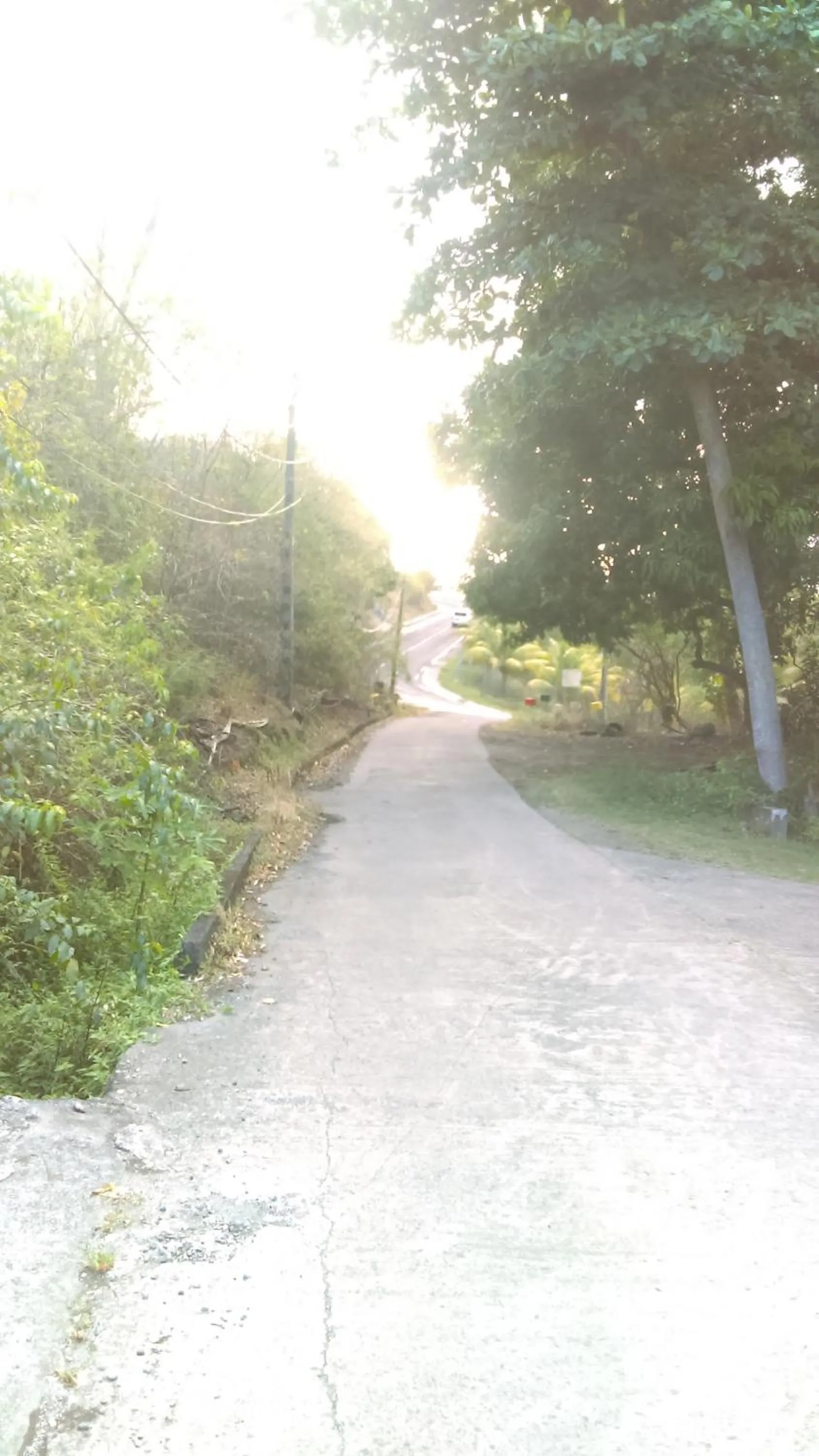 Off site in Résidence Les MANGUIERS OTANTIK