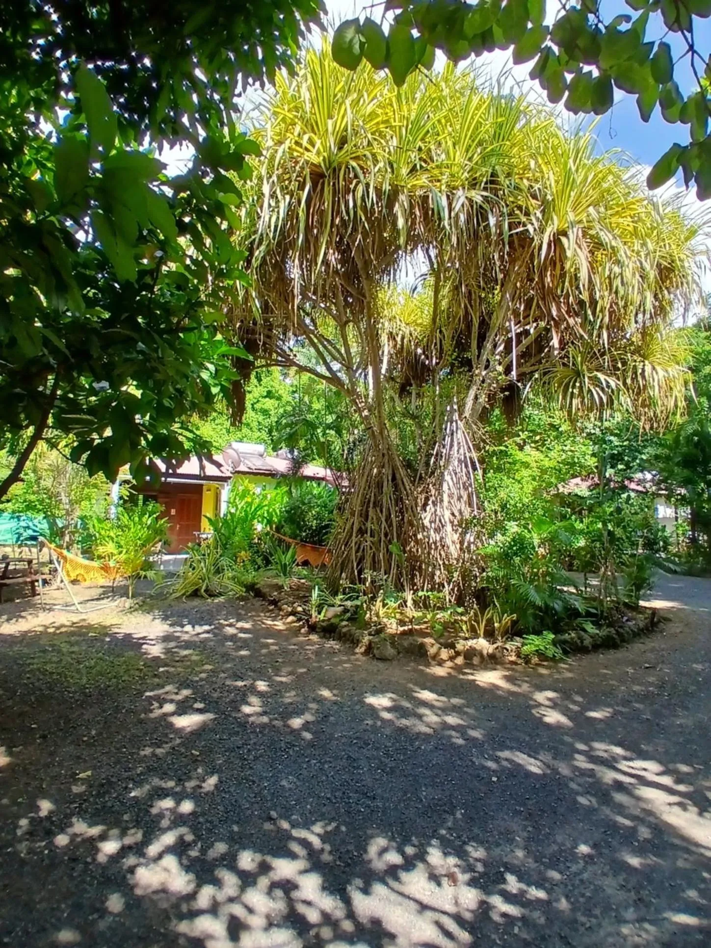 Day in Résidence Les MANGUIERS OTANTIK