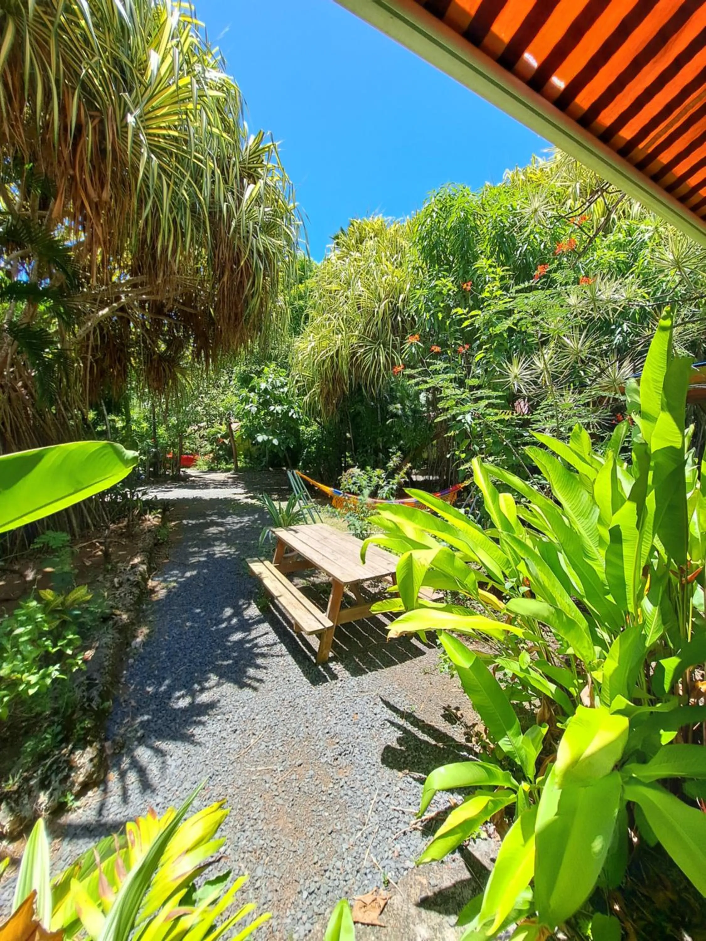 Spring in Résidence Les MANGUIERS OTANTIK