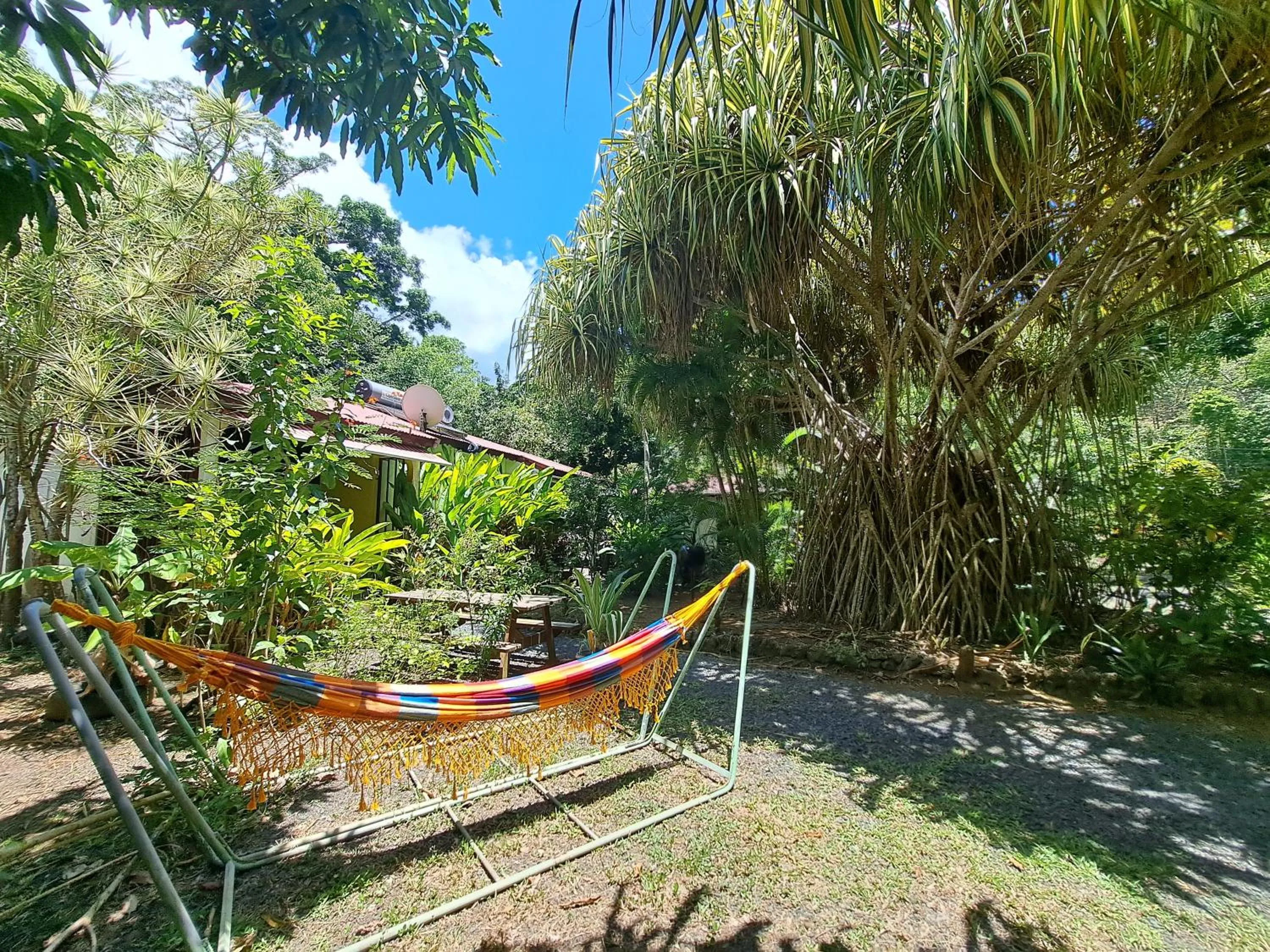 Spring in Résidence Les MANGUIERS OTANTIK