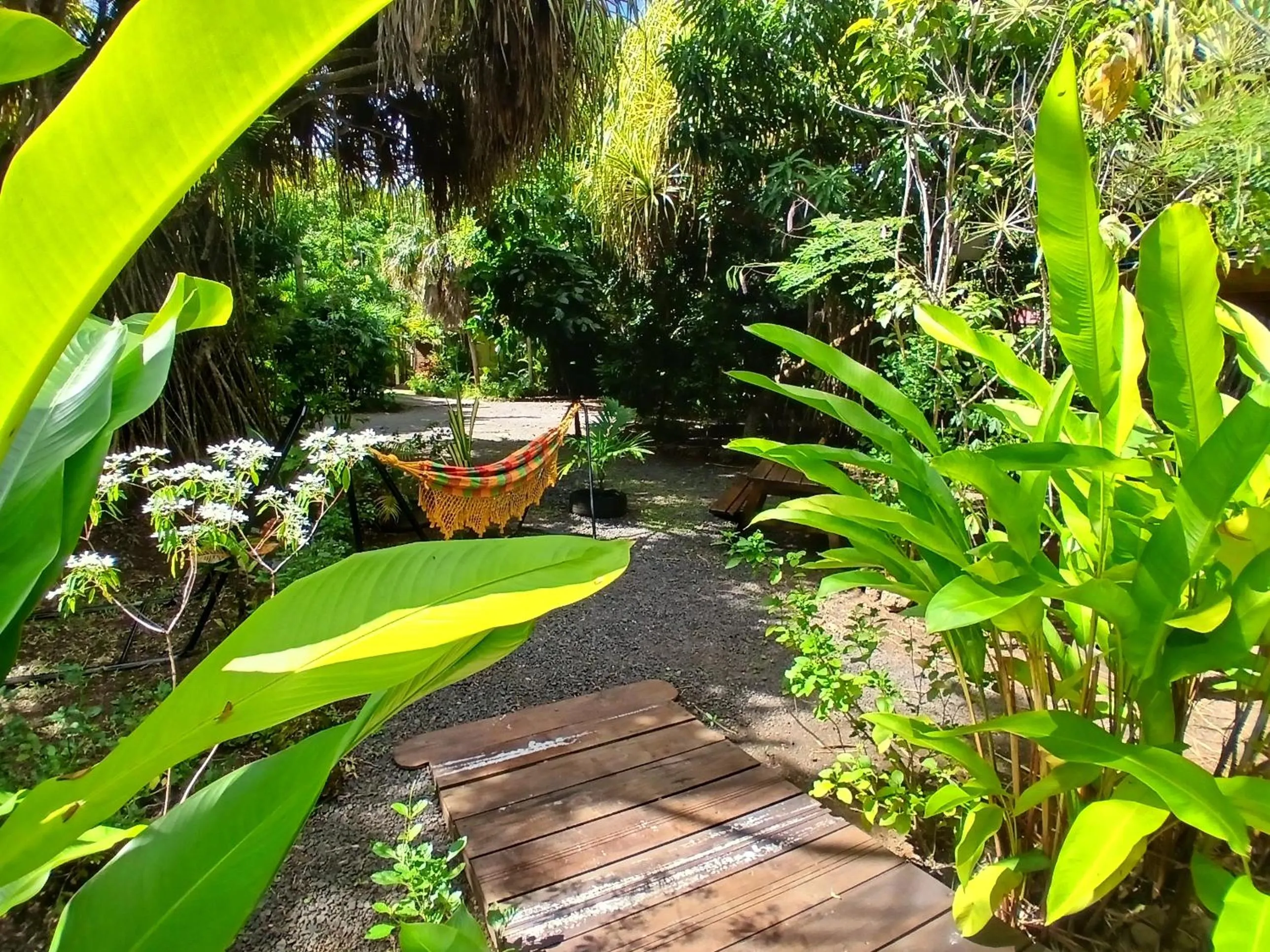 Day in Résidence Les MANGUIERS OTANTIK