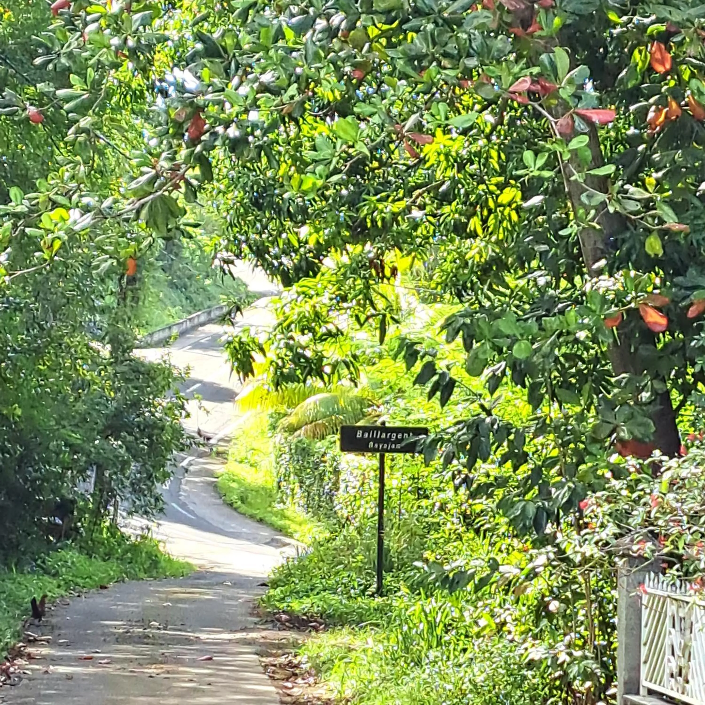 Garden in Résidence Les MANGUIERS OTANTIK