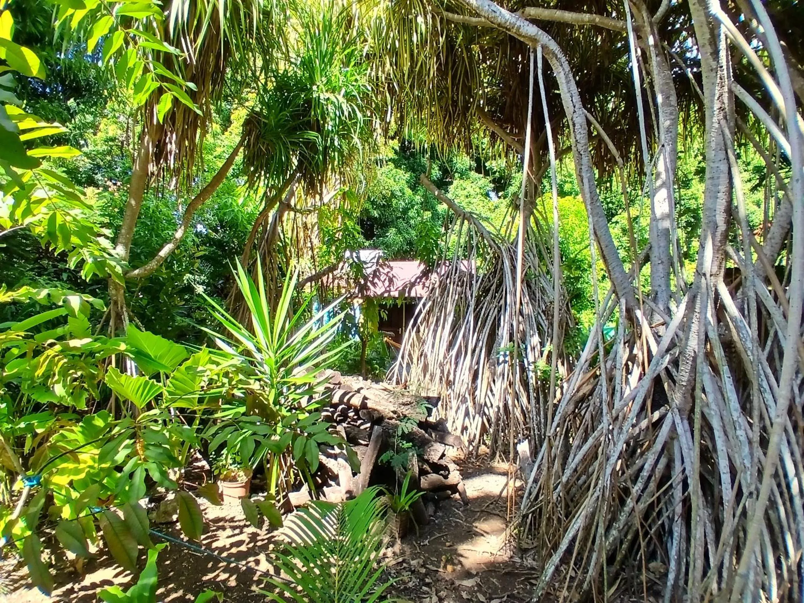 Day in Résidence Les MANGUIERS OTANTIK