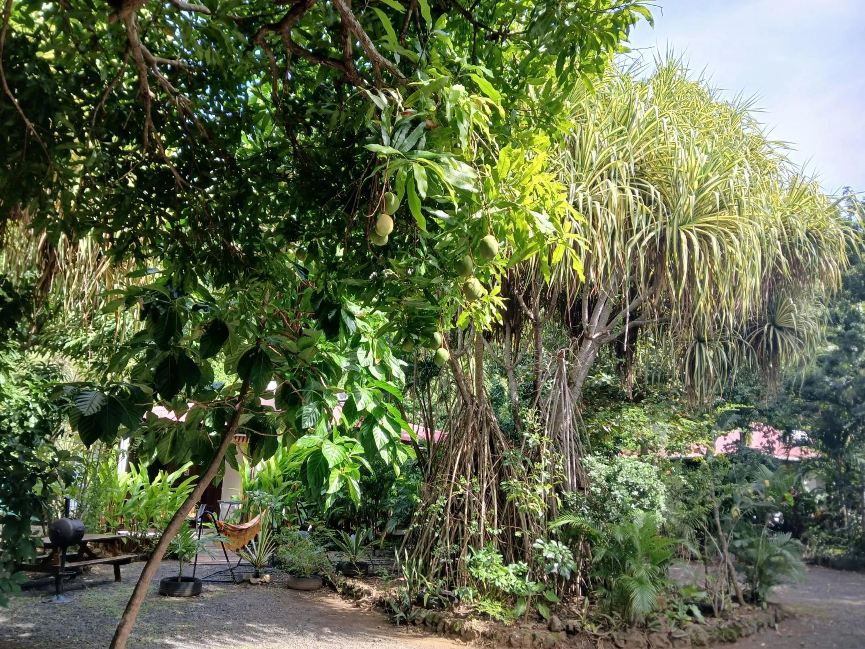 Day in Résidence Les MANGUIERS OTANTIK