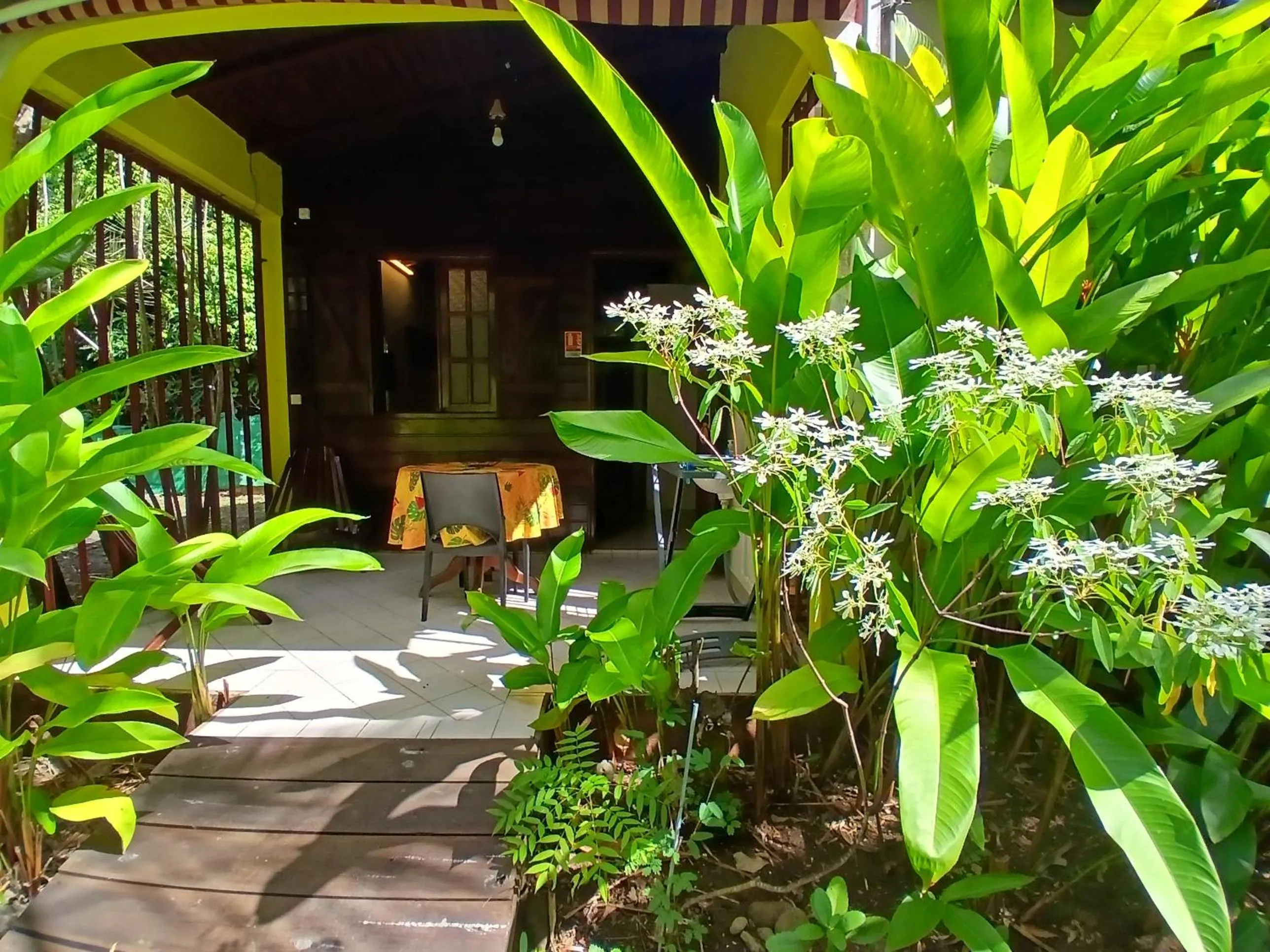 Patio in Résidence Les MANGUIERS OTANTIK