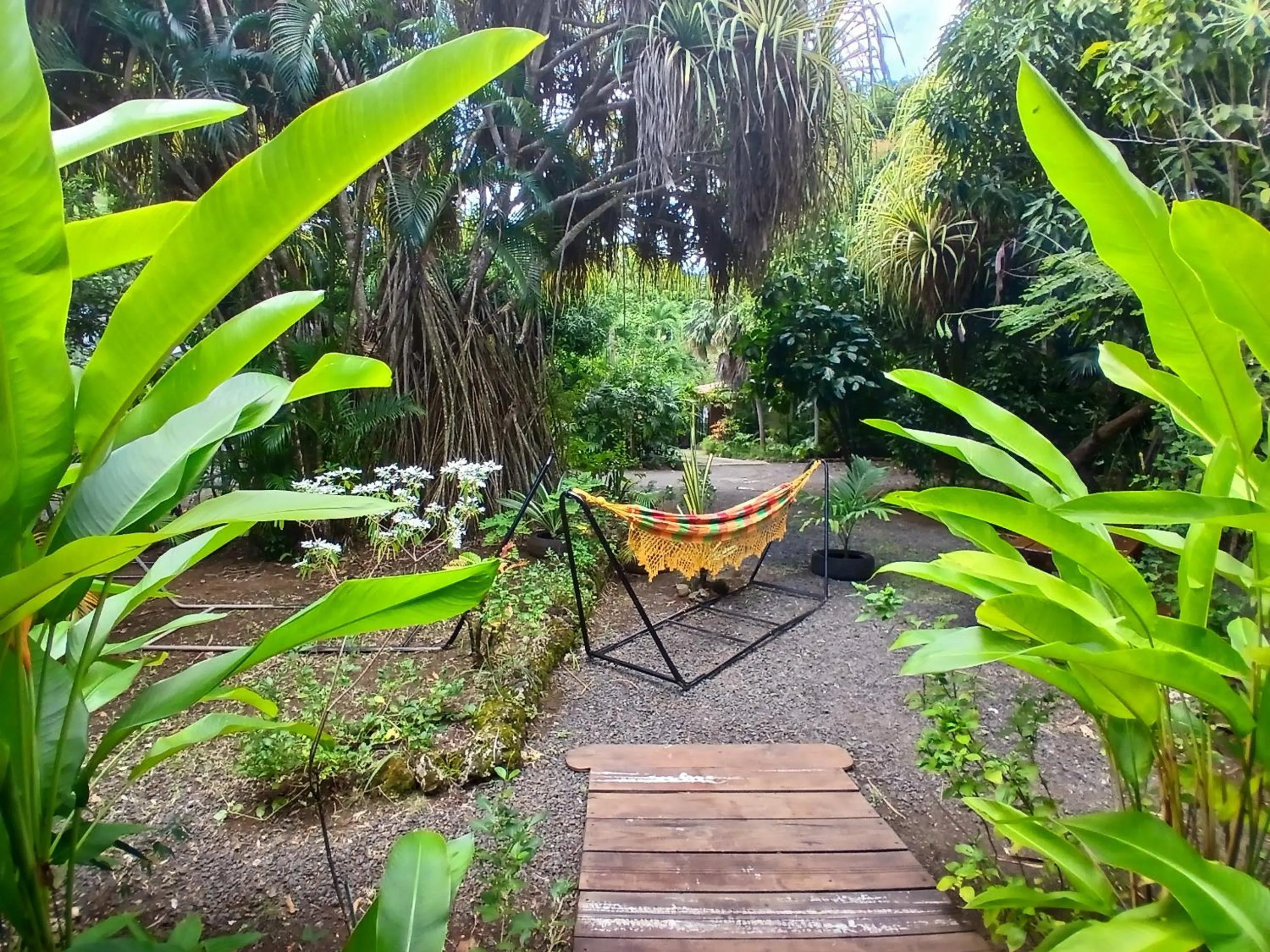 Garden in Résidence Les MANGUIERS OTANTIK