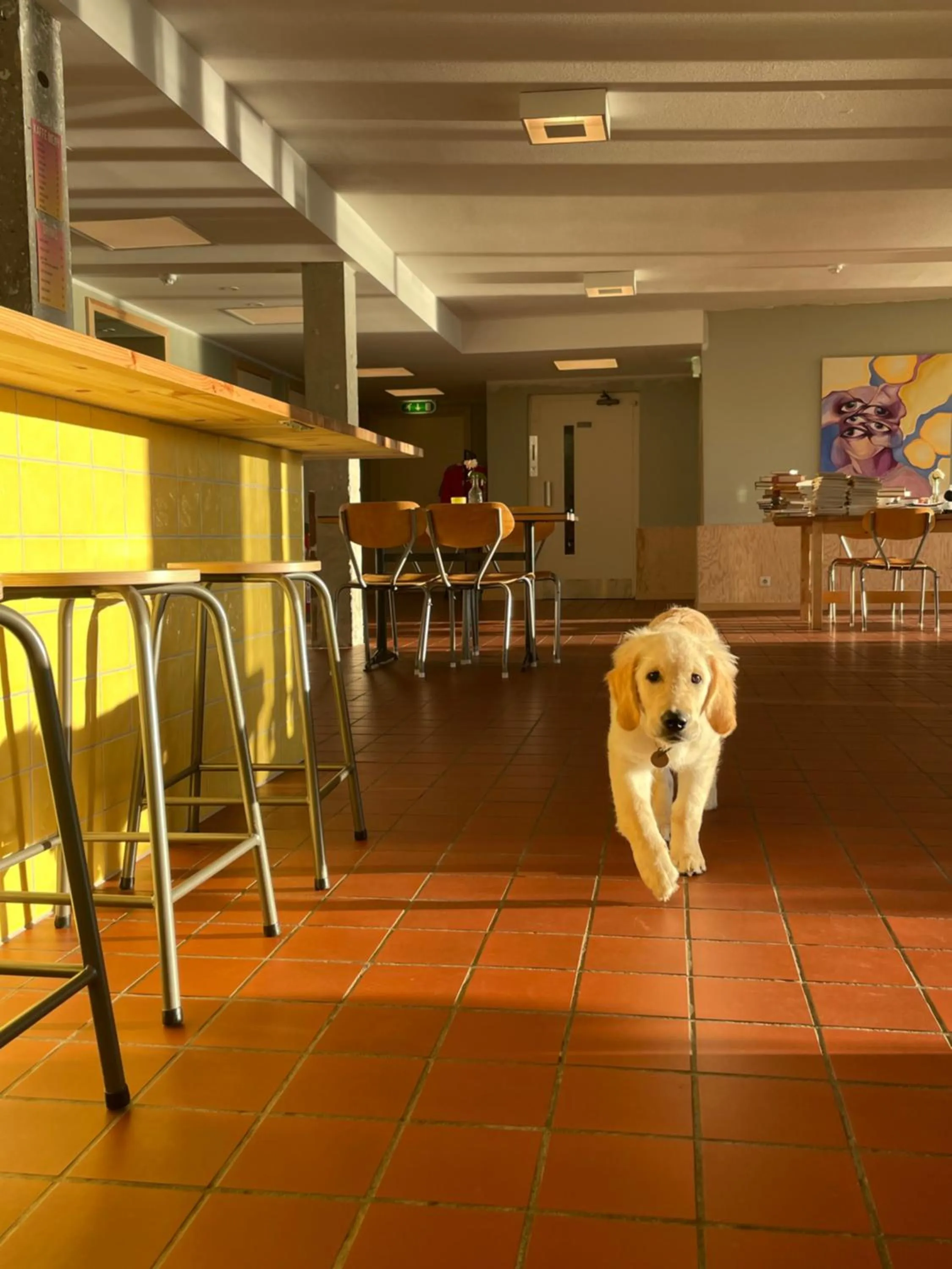 Lobby or reception in Balestrand Hotel