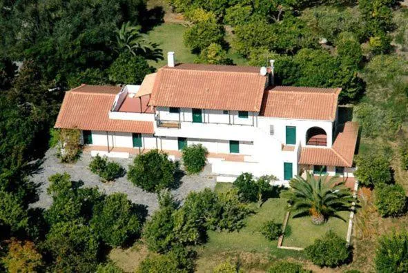 Bird's eye view in Inglessata Rose