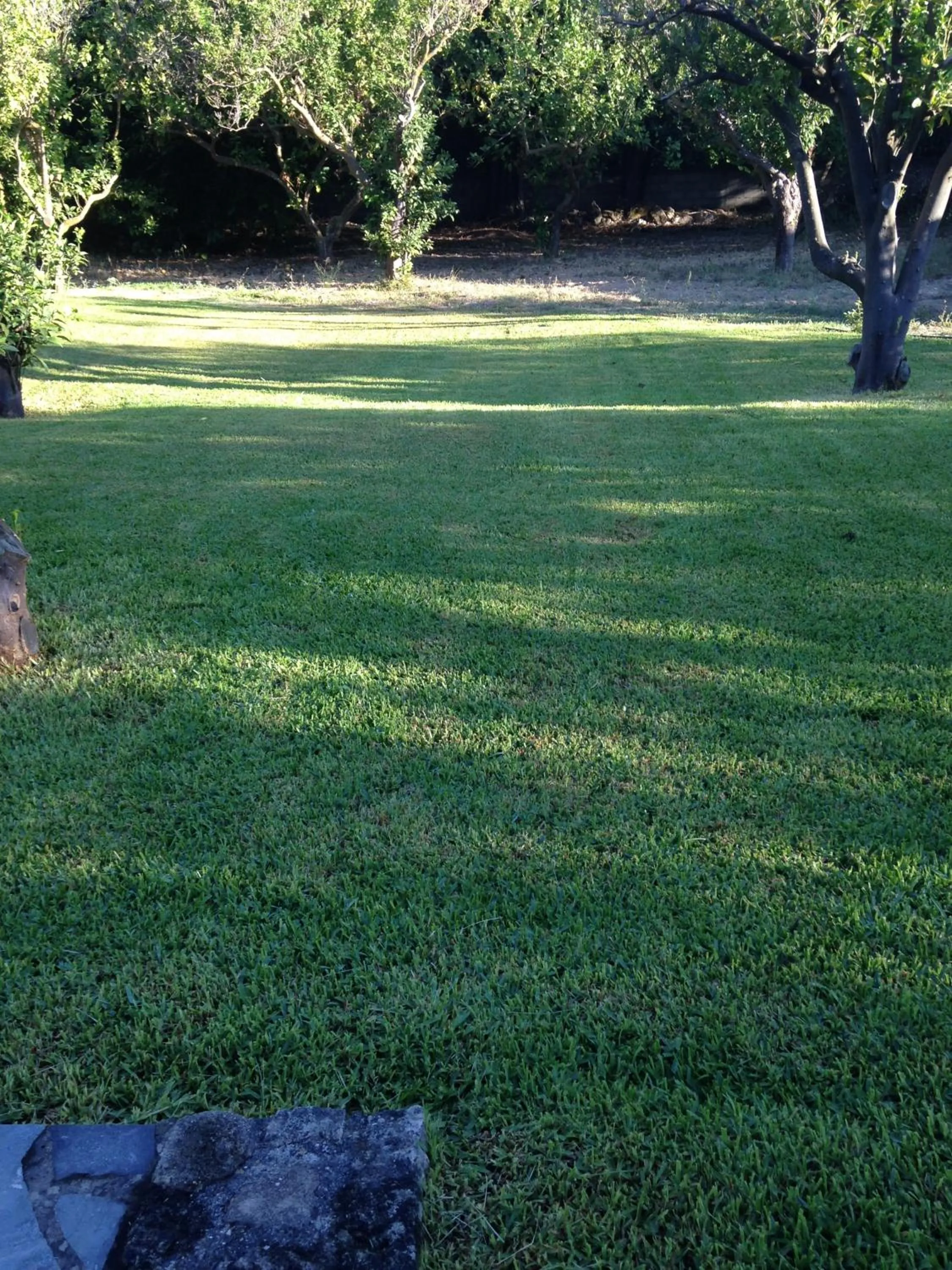 Garden in Inglessata Rose