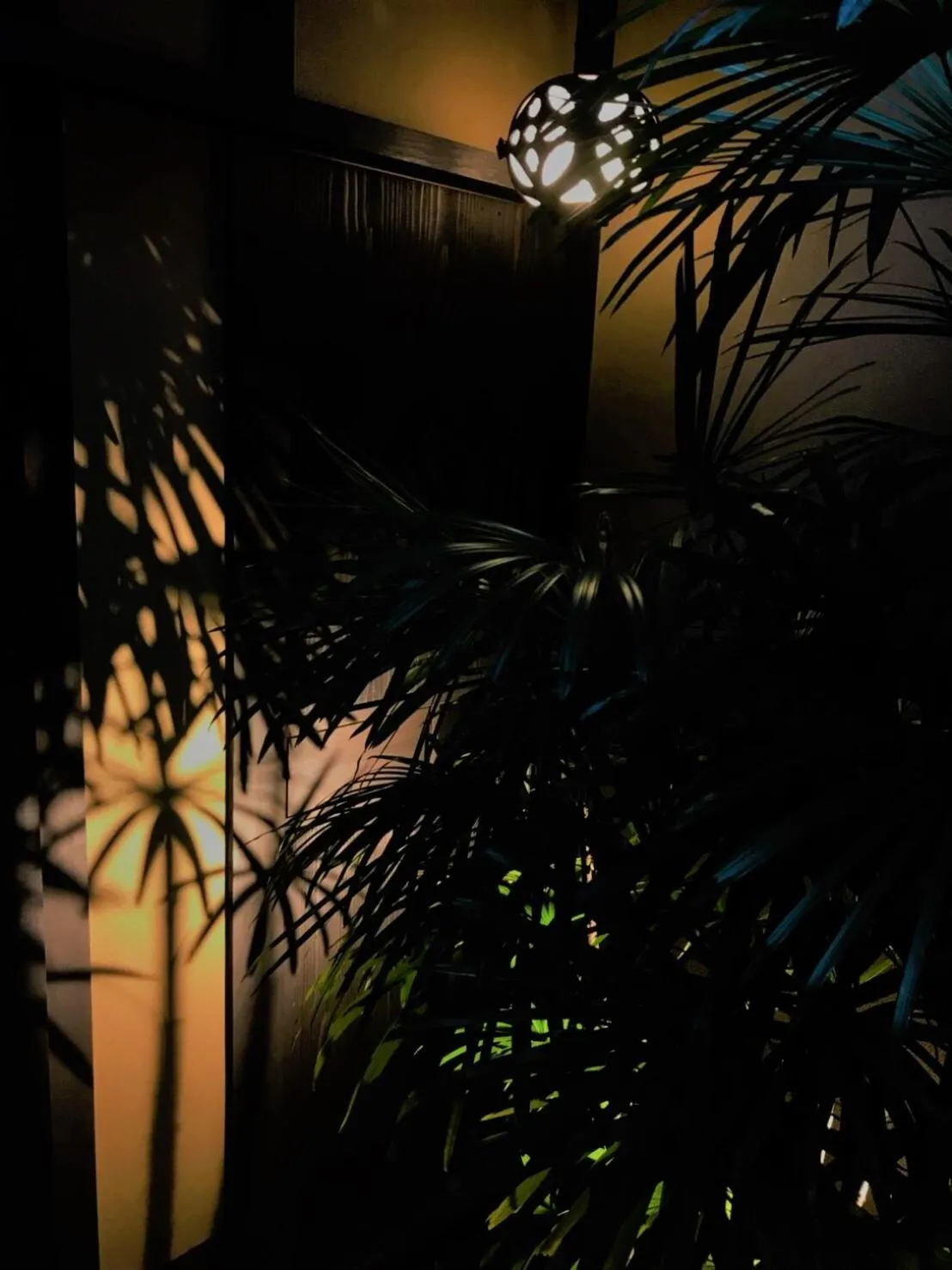 Kyo no Ondokoro Gokomachi Ebisugawa #3