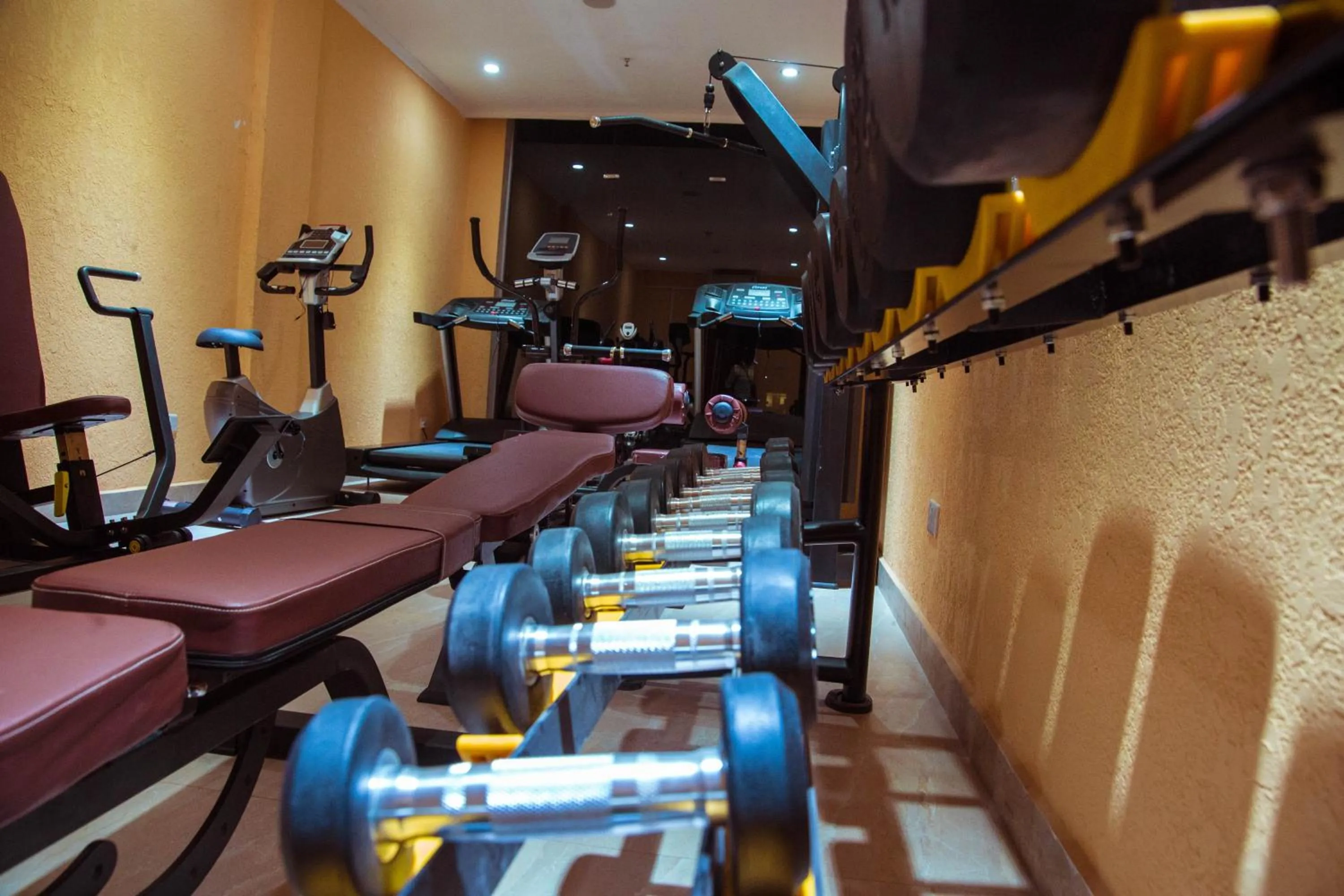 Fitness centre/facilities in Tiffany Diamond Hotels LTD - Makunganya