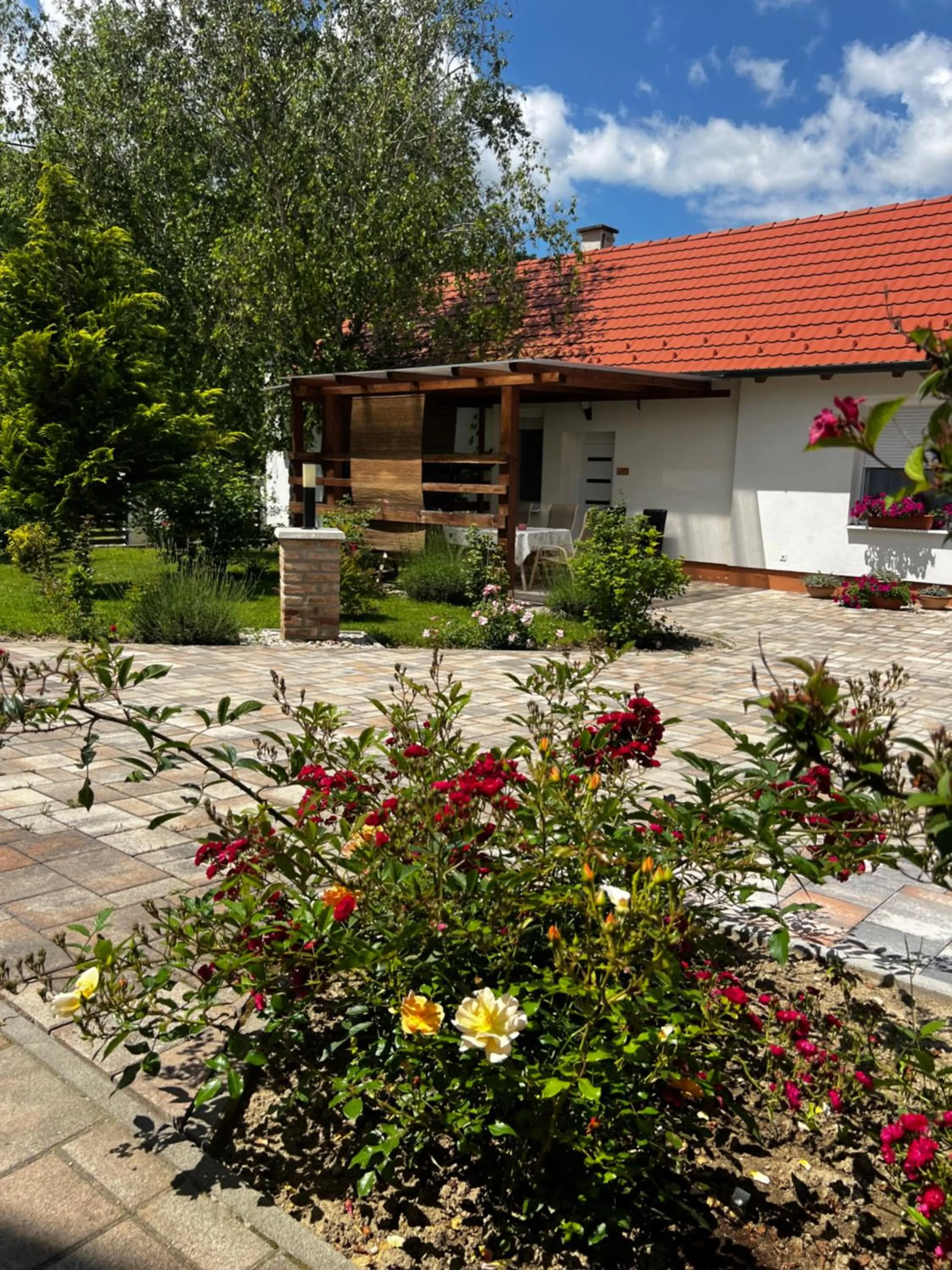 View (from property/room) in Dreko Panzió & Borbisztró