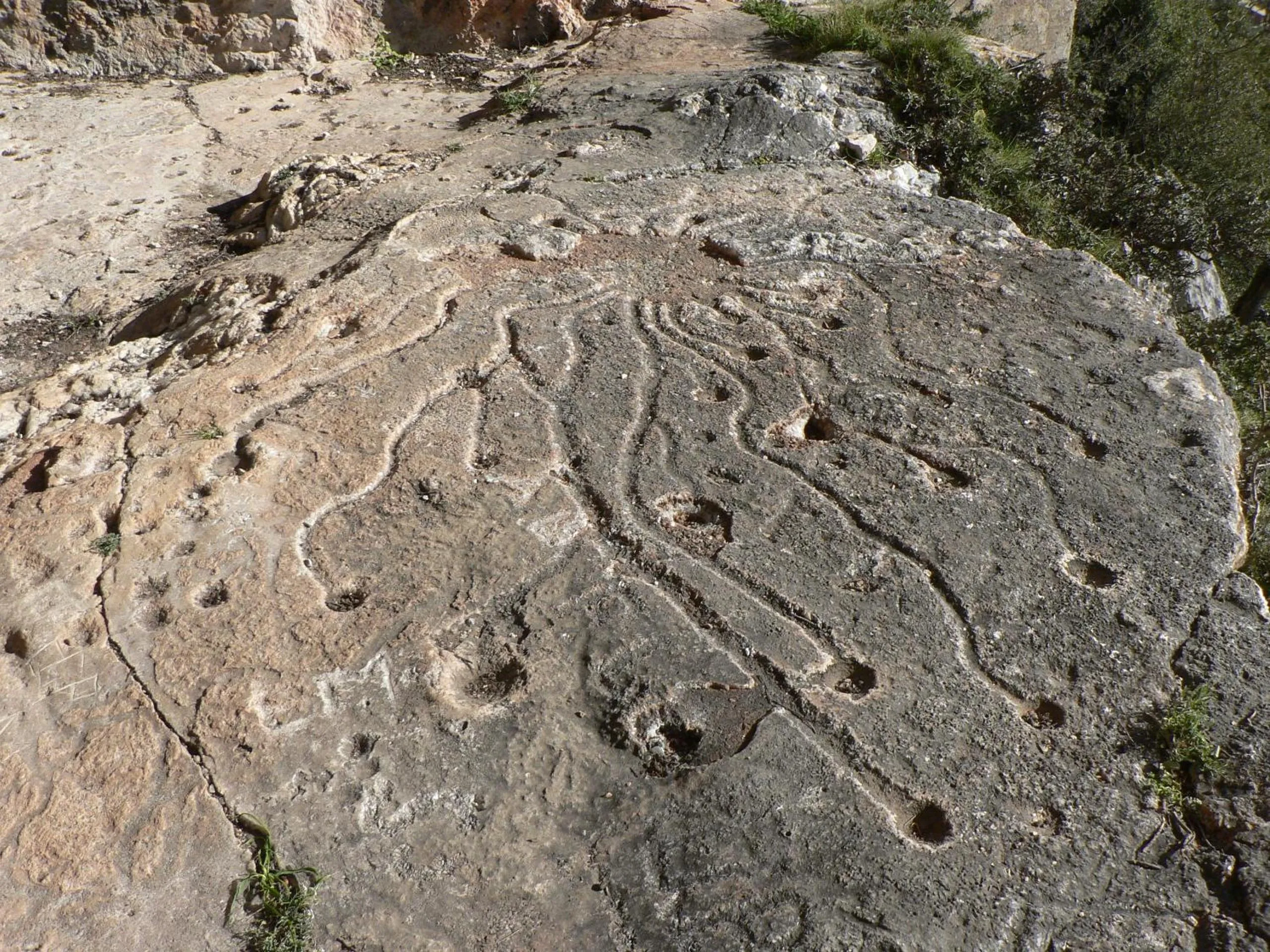 Day in Hotel Bia Maore