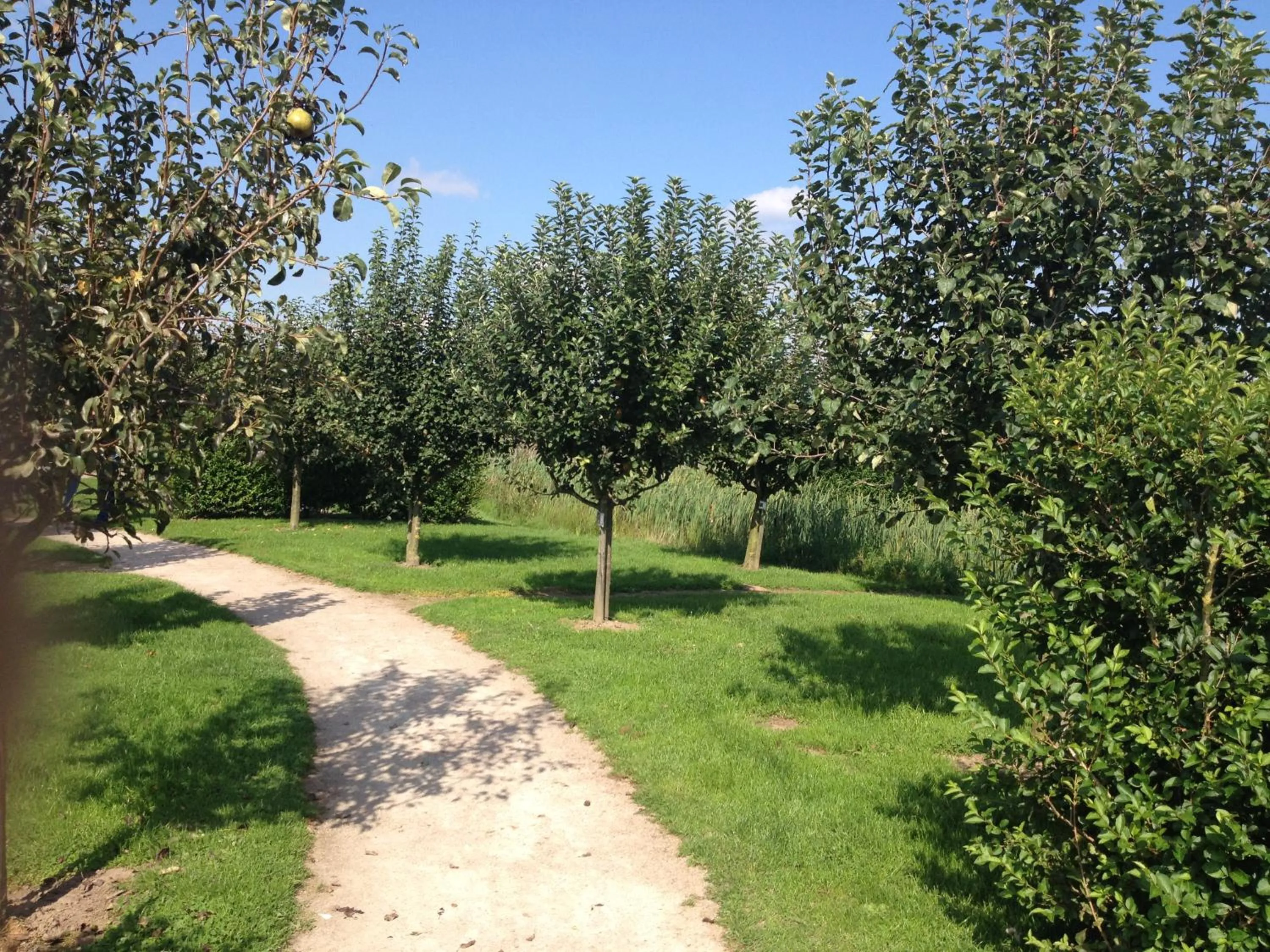 Garden in Fruitpark Hotel & Spa