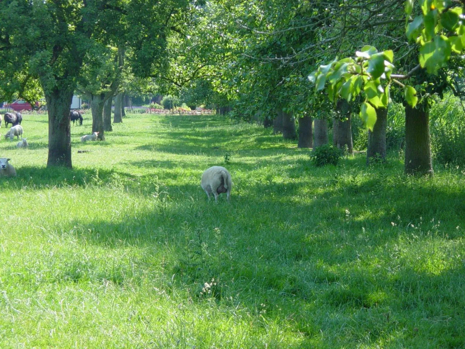 Spring in Fruitpark Hotel & Spa