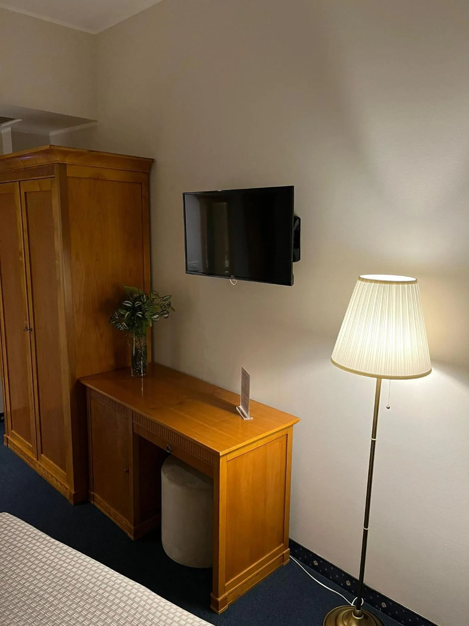 TV and multimedia in Hotel Dorè