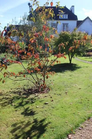 Garden in Au Fil de l'Aulne