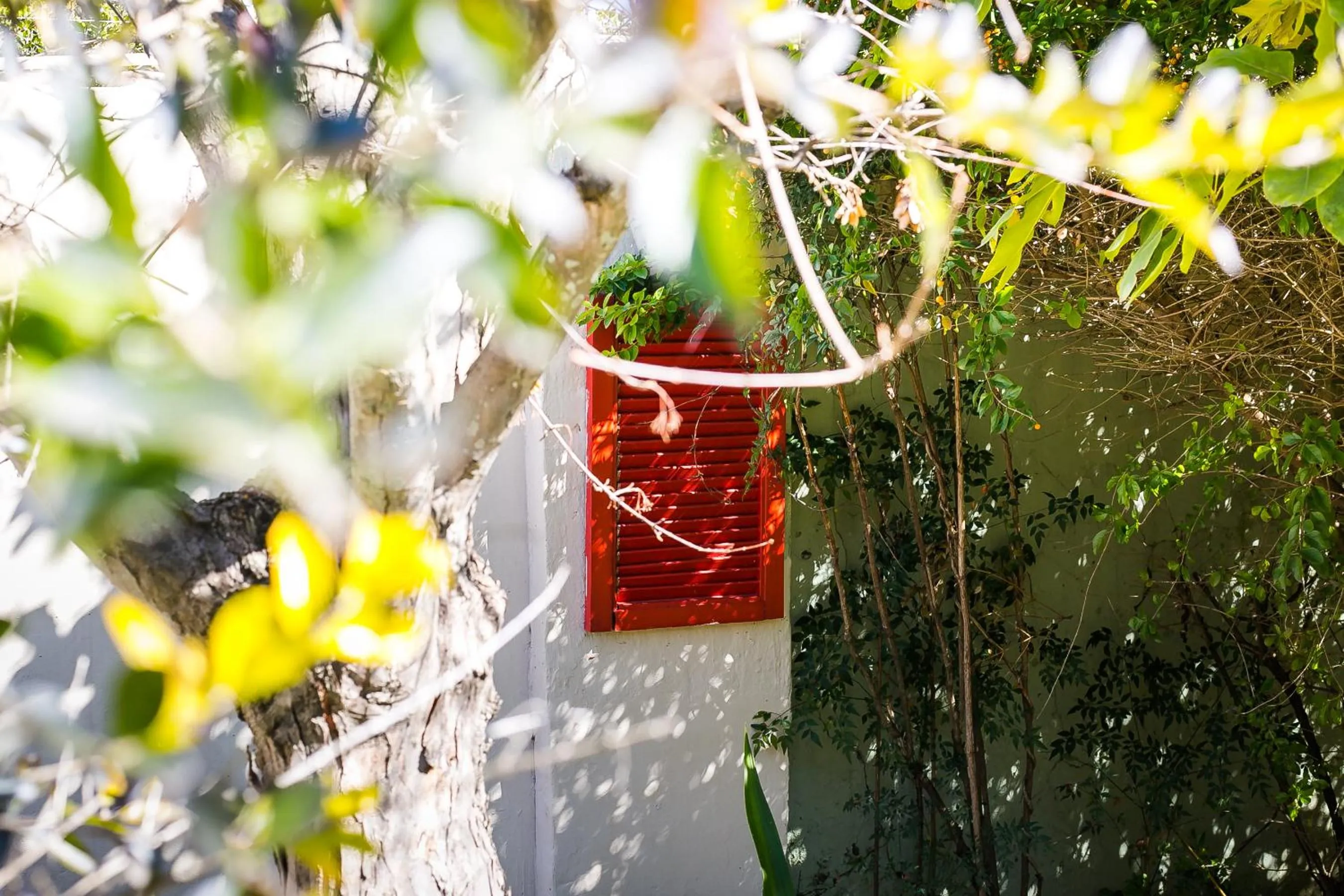 Dreamers Guesthouse - NO LOADSHEDDING