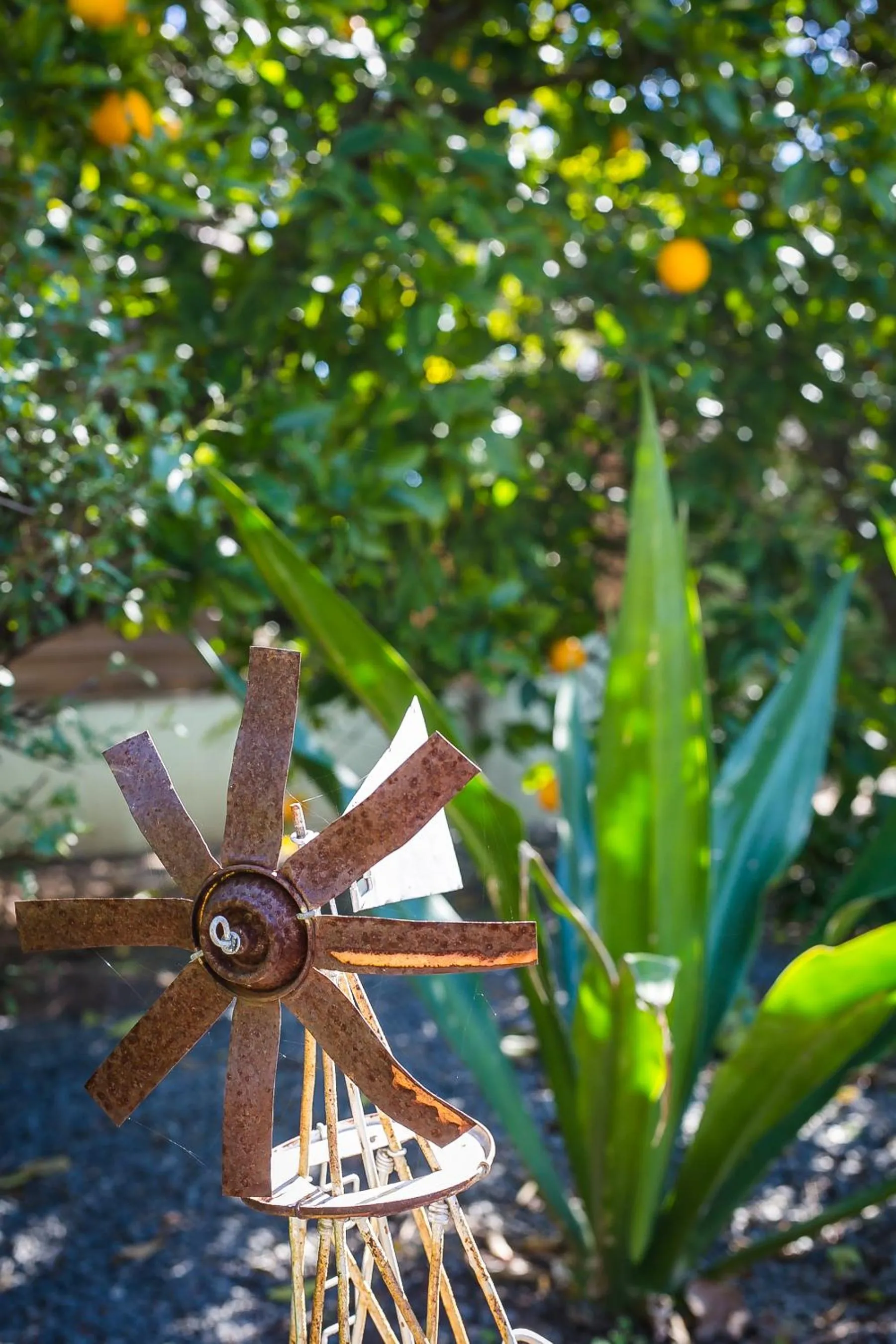 Dreamers Guesthouse - NO LOADSHEDDING