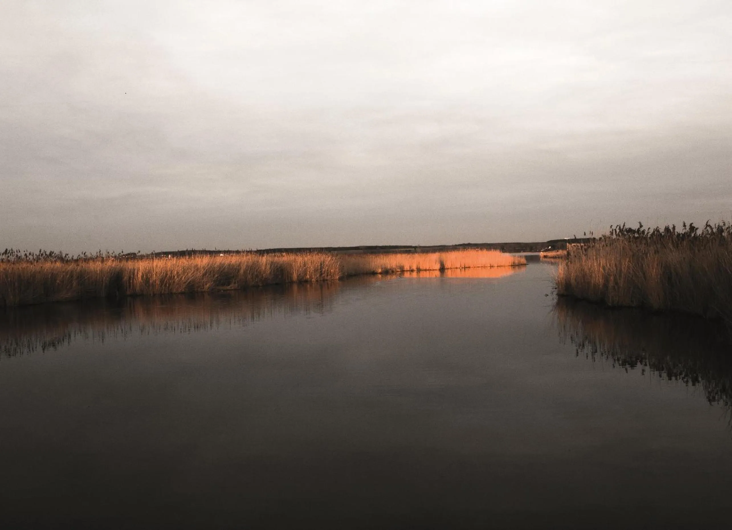 Natural landscape in Hotel Moorbadstuben