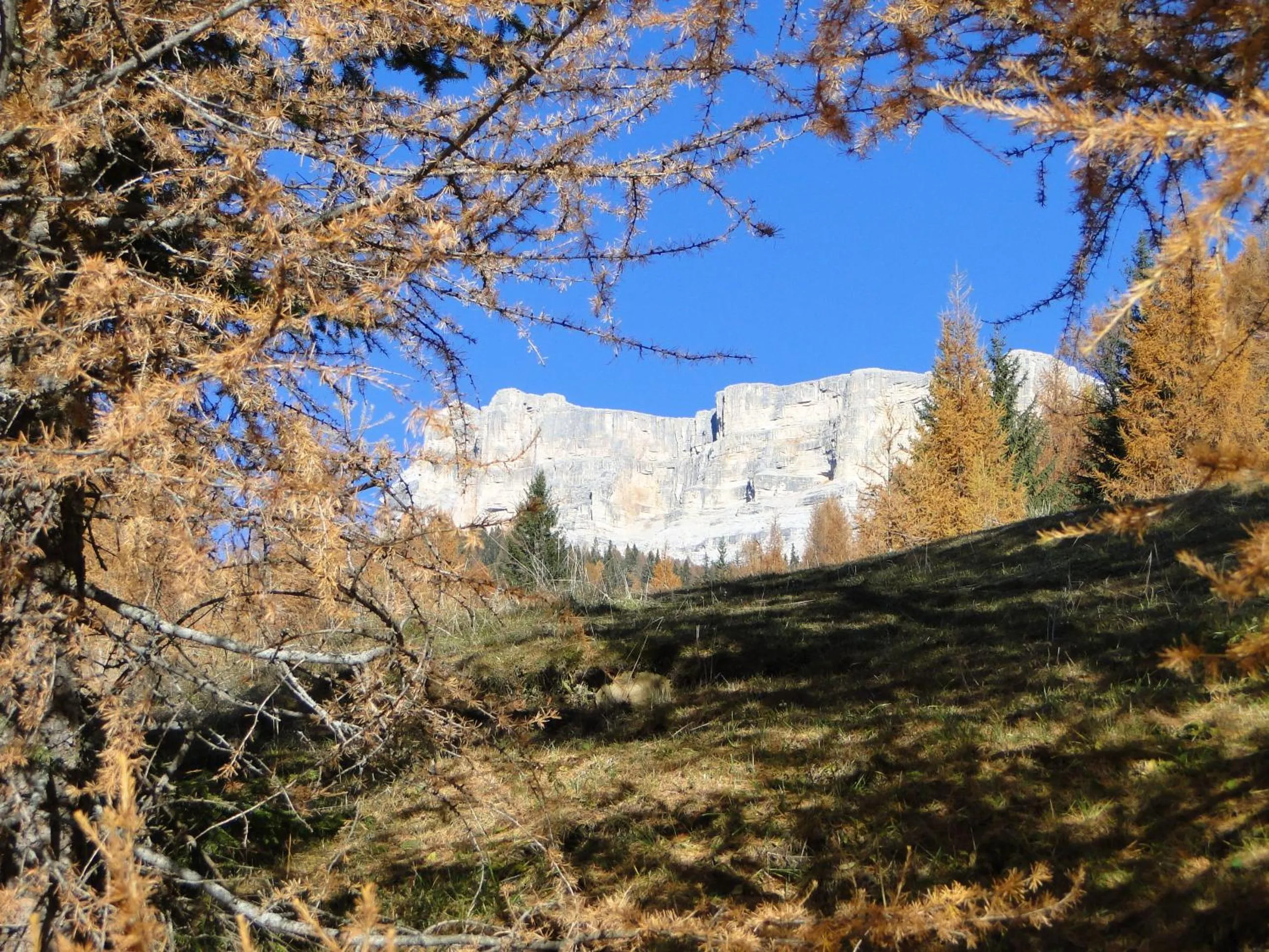 Nearby landmark in Garni Irsara