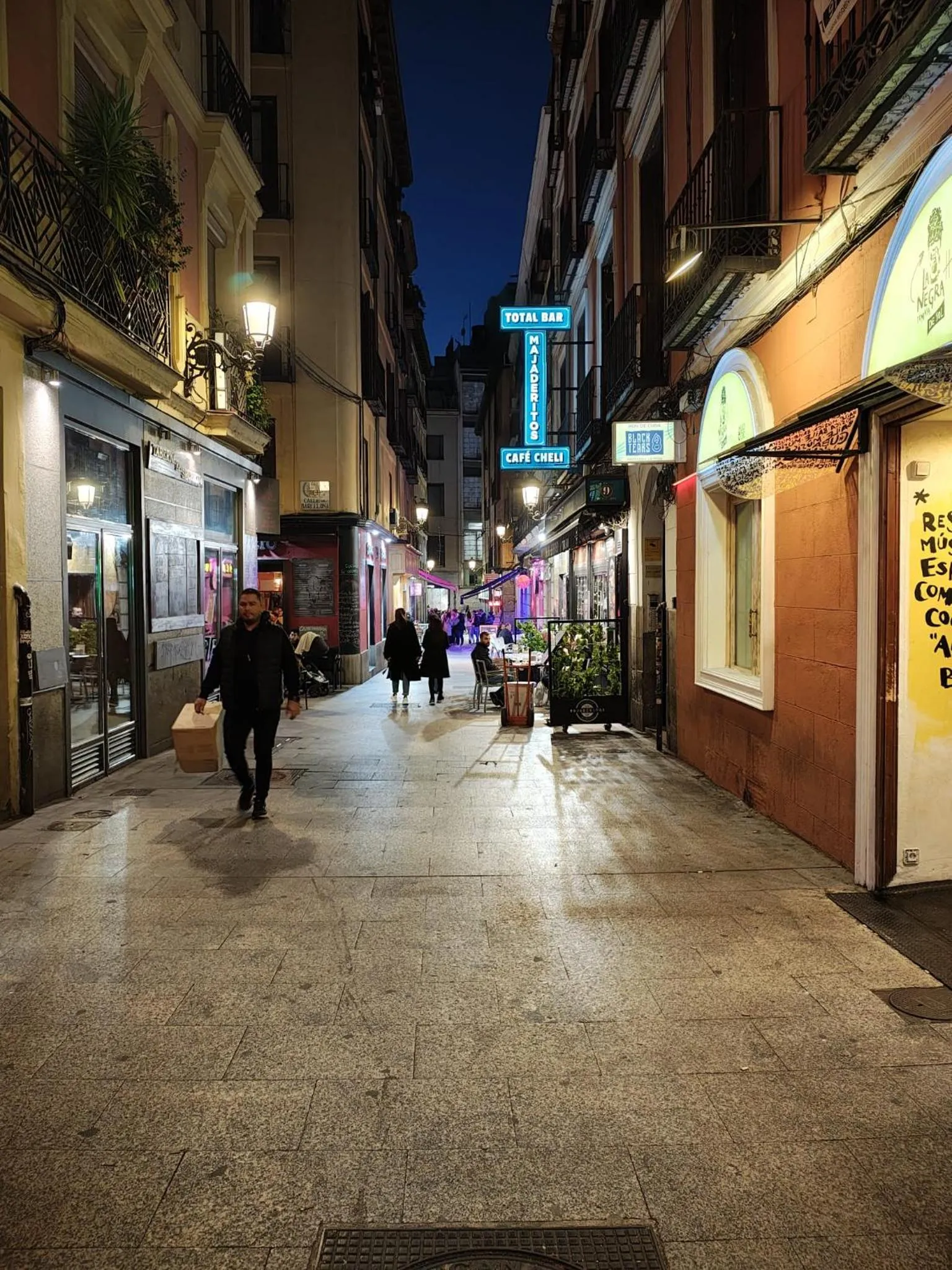 Natural landscape in Hostal JQ Madrid 1