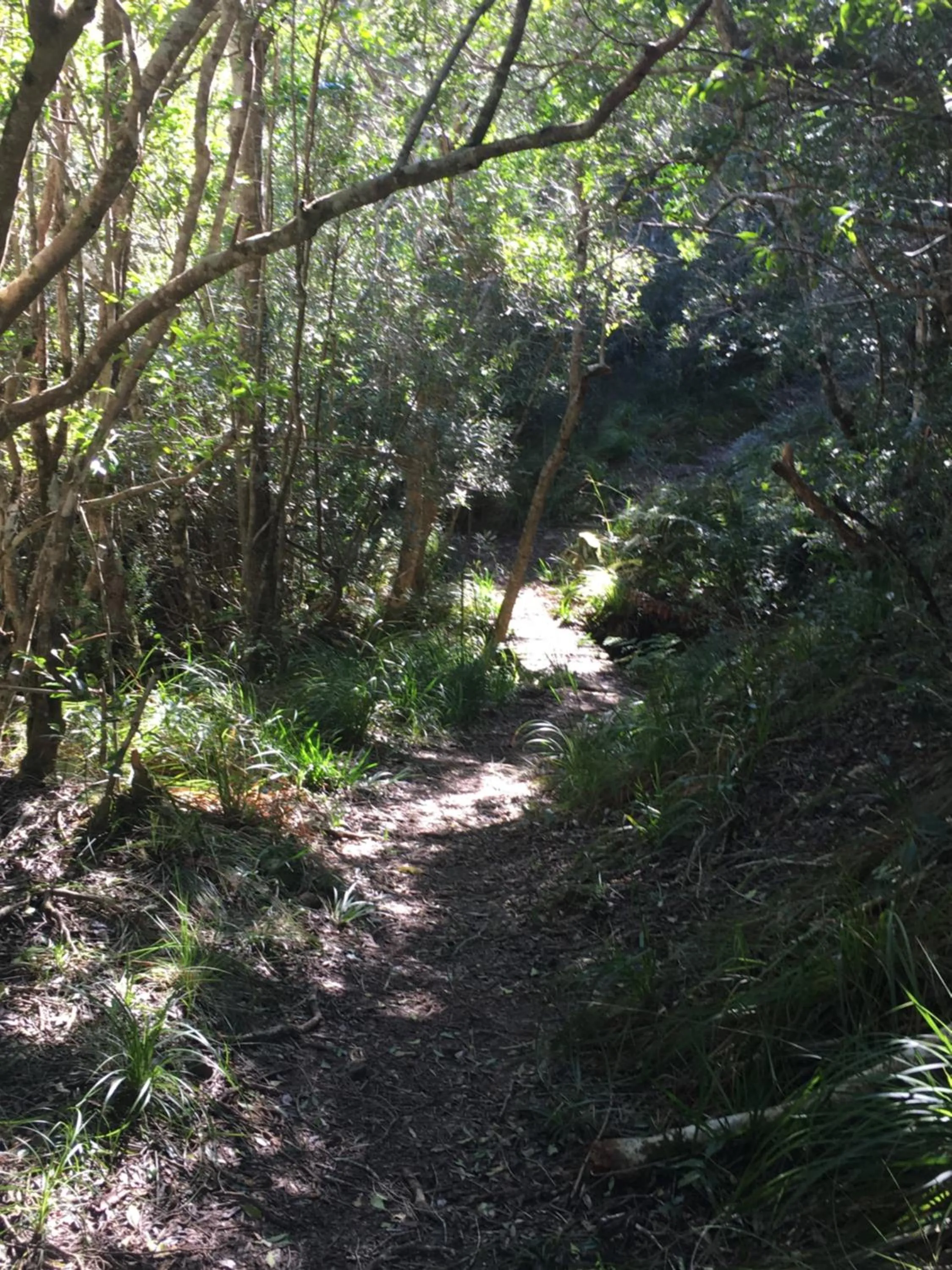 The View Swellendam B&B